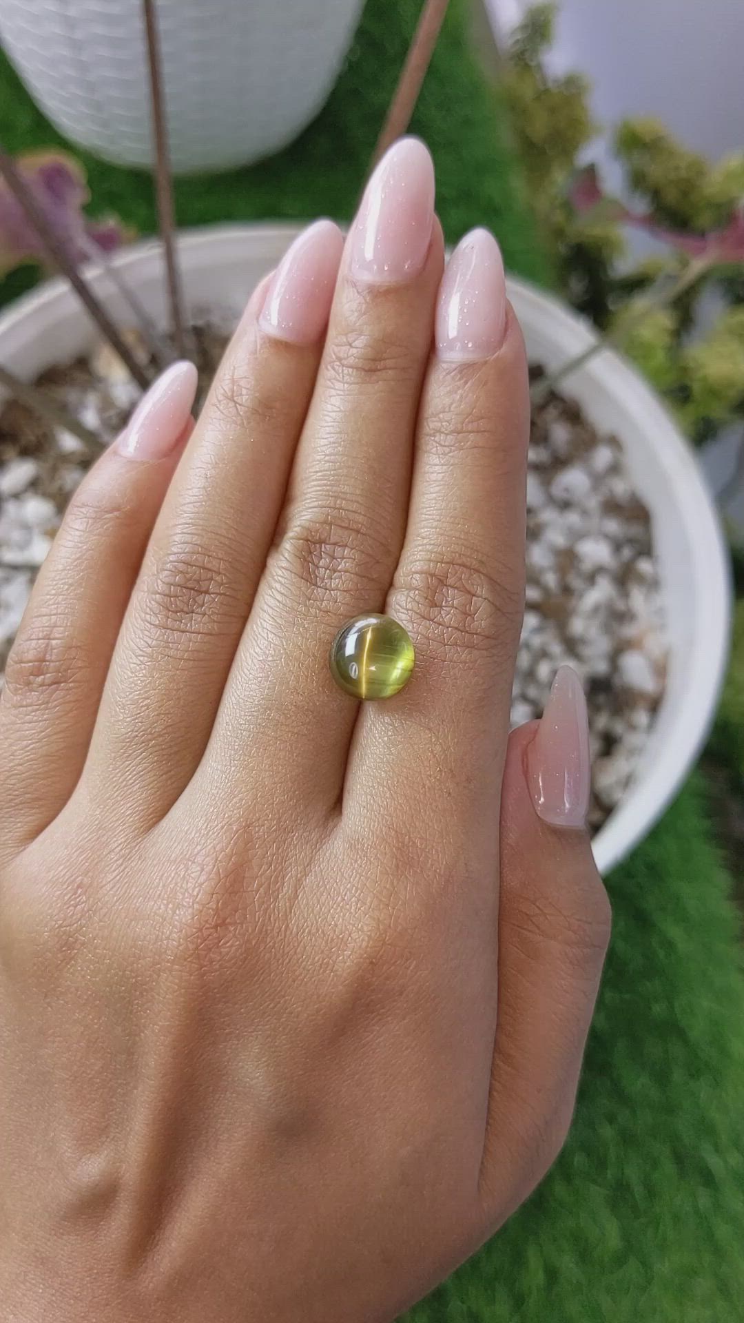 8.26 Ct. Cabochon Chrysoberyl from Ceylon (Sri Lanka) Size Video