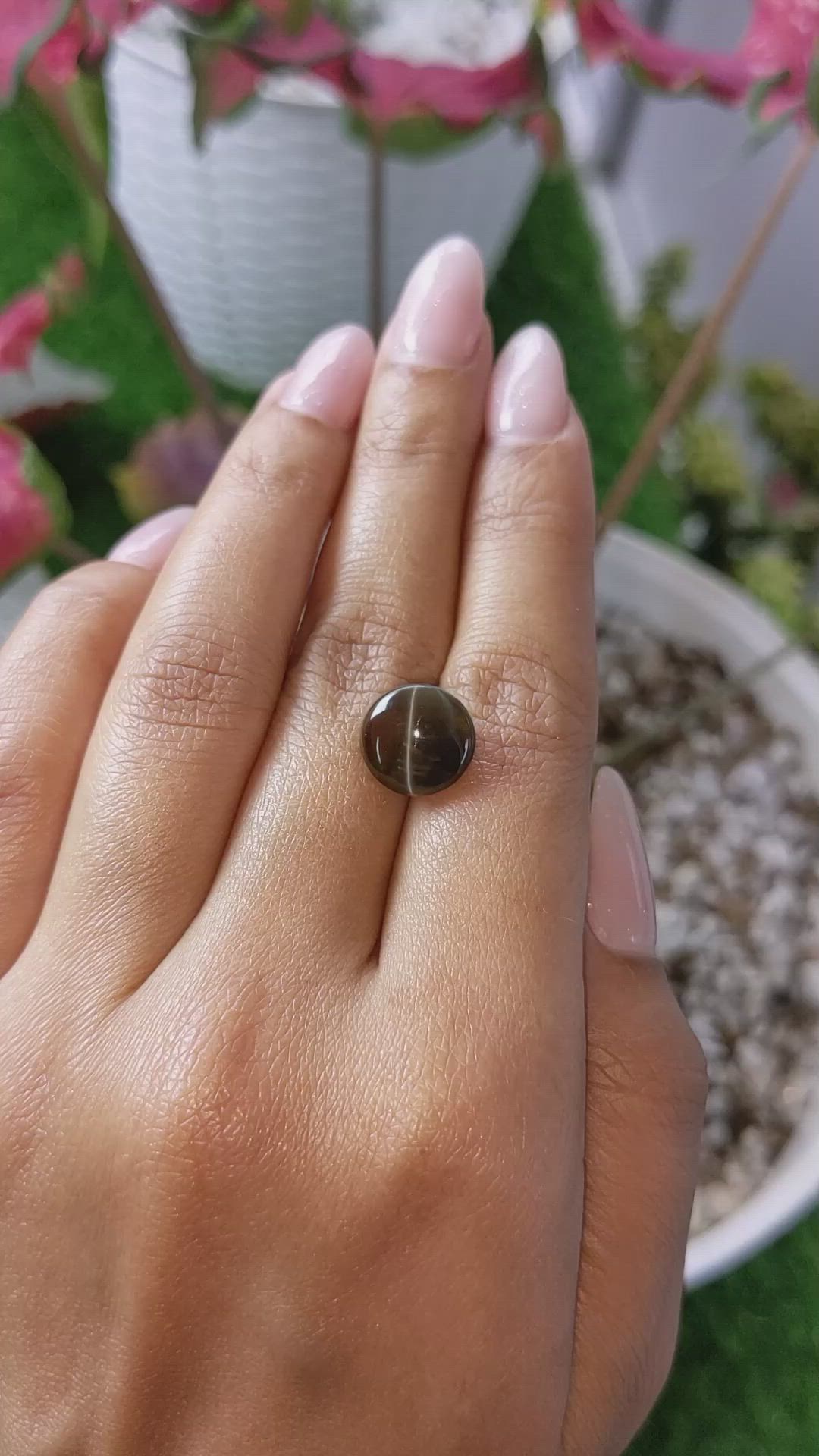 8.65 Ct. Cabochon Chrysoberyl from Ceylon (Sri Lanka) Size Video