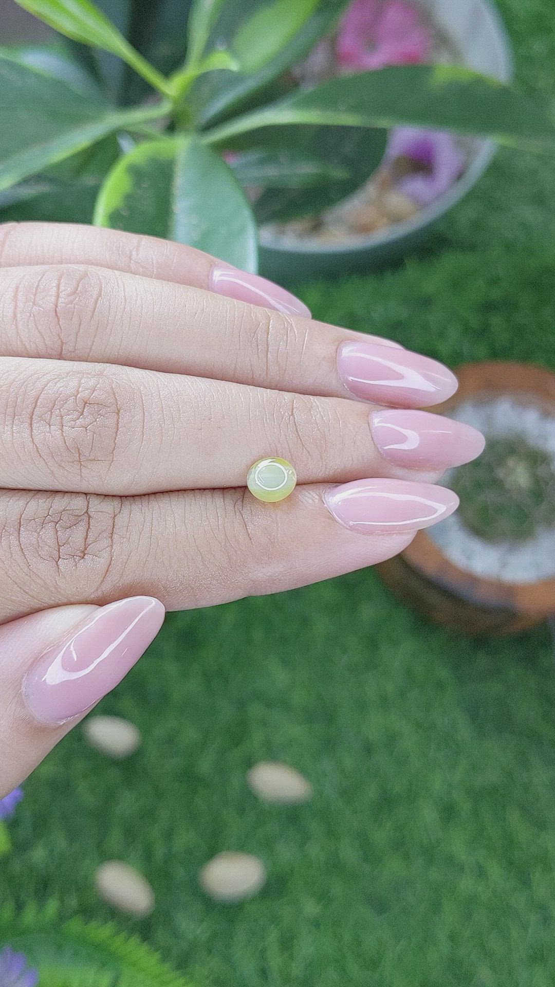 1.21 Ct. Greenish Yellow Cabochon Chrysoberyl from Ceylon (Sri Lanka) Size Video