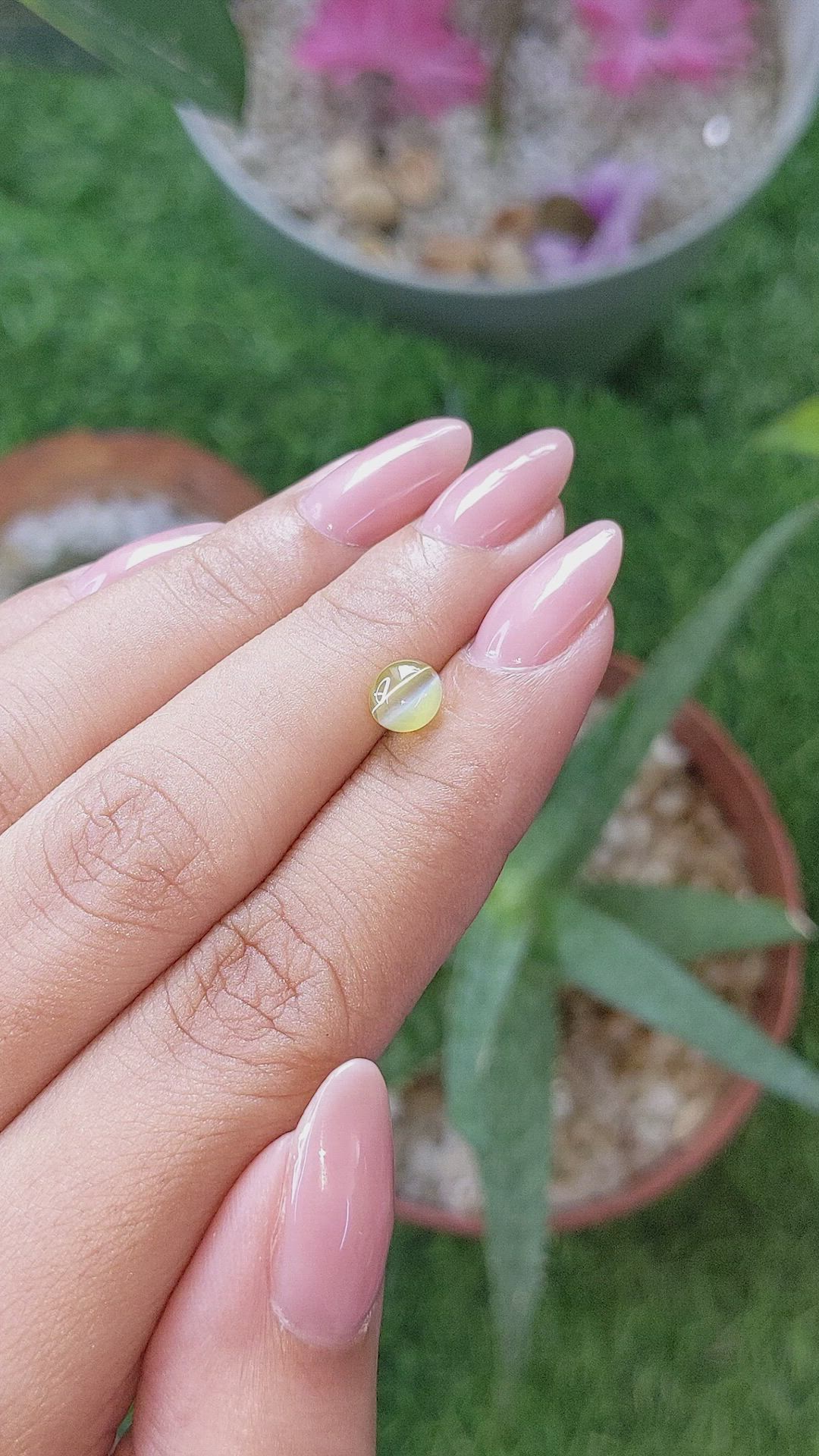 1.21 Ct. Greenish Yellow Cabochon Chrysoberyl from Ceylon (Sri Lanka) Size Video