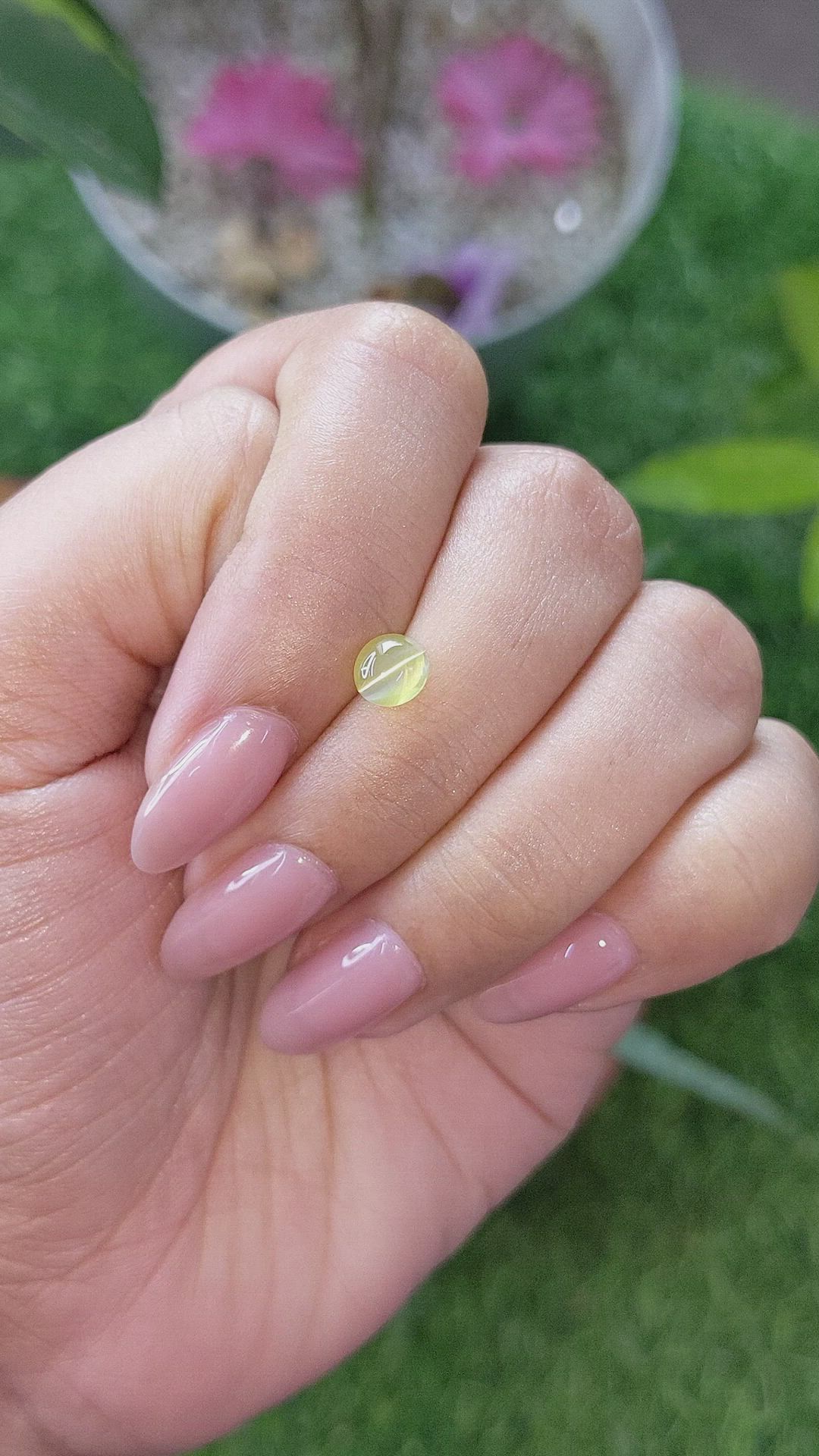 1.21 Ct. Greenish Yellow Cabochon Chrysoberyl from Ceylon (Sri Lanka) Size Video