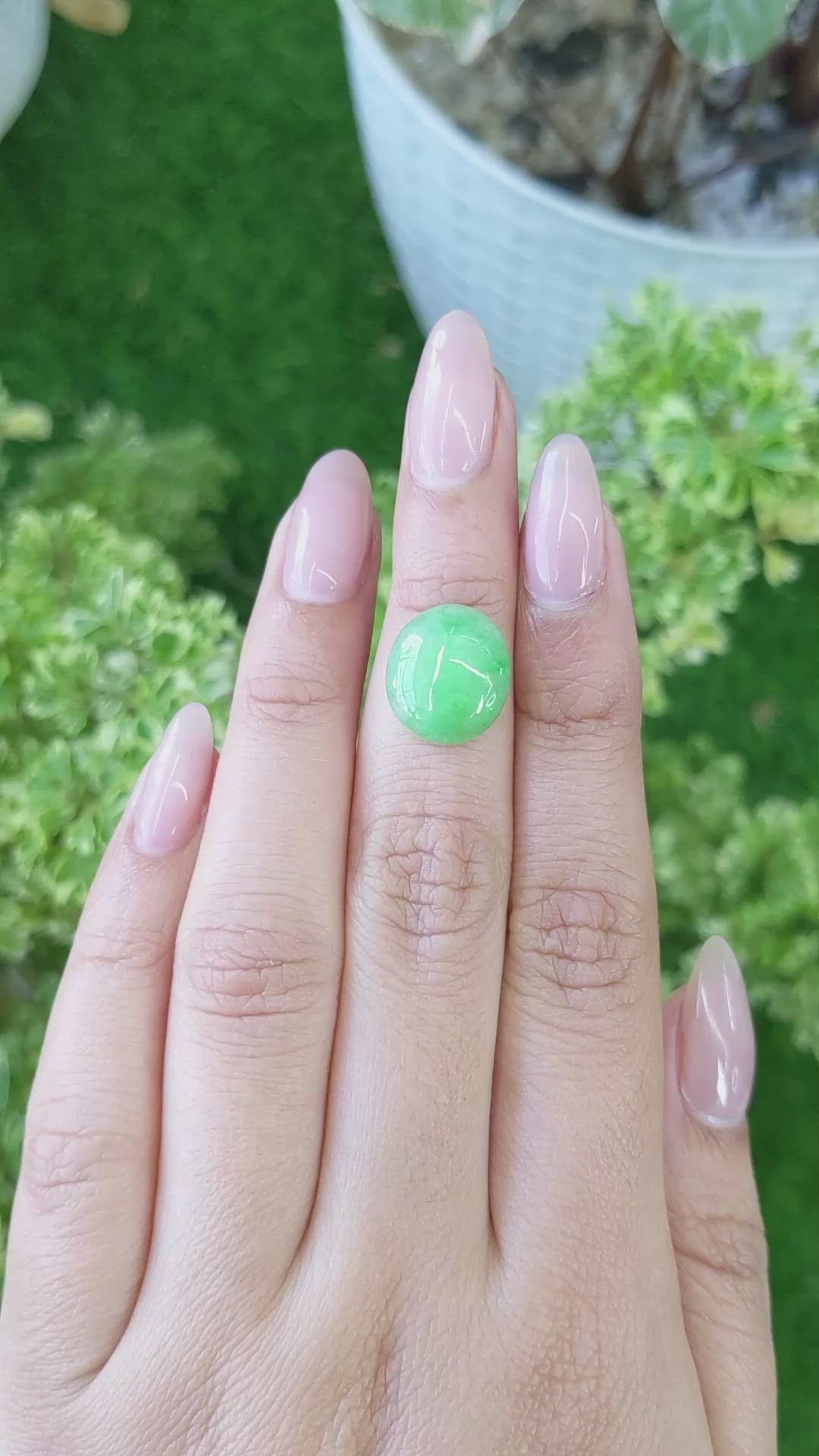 5.50 Ct. Cabochon Jade from Burma (Myanmar) Size Video