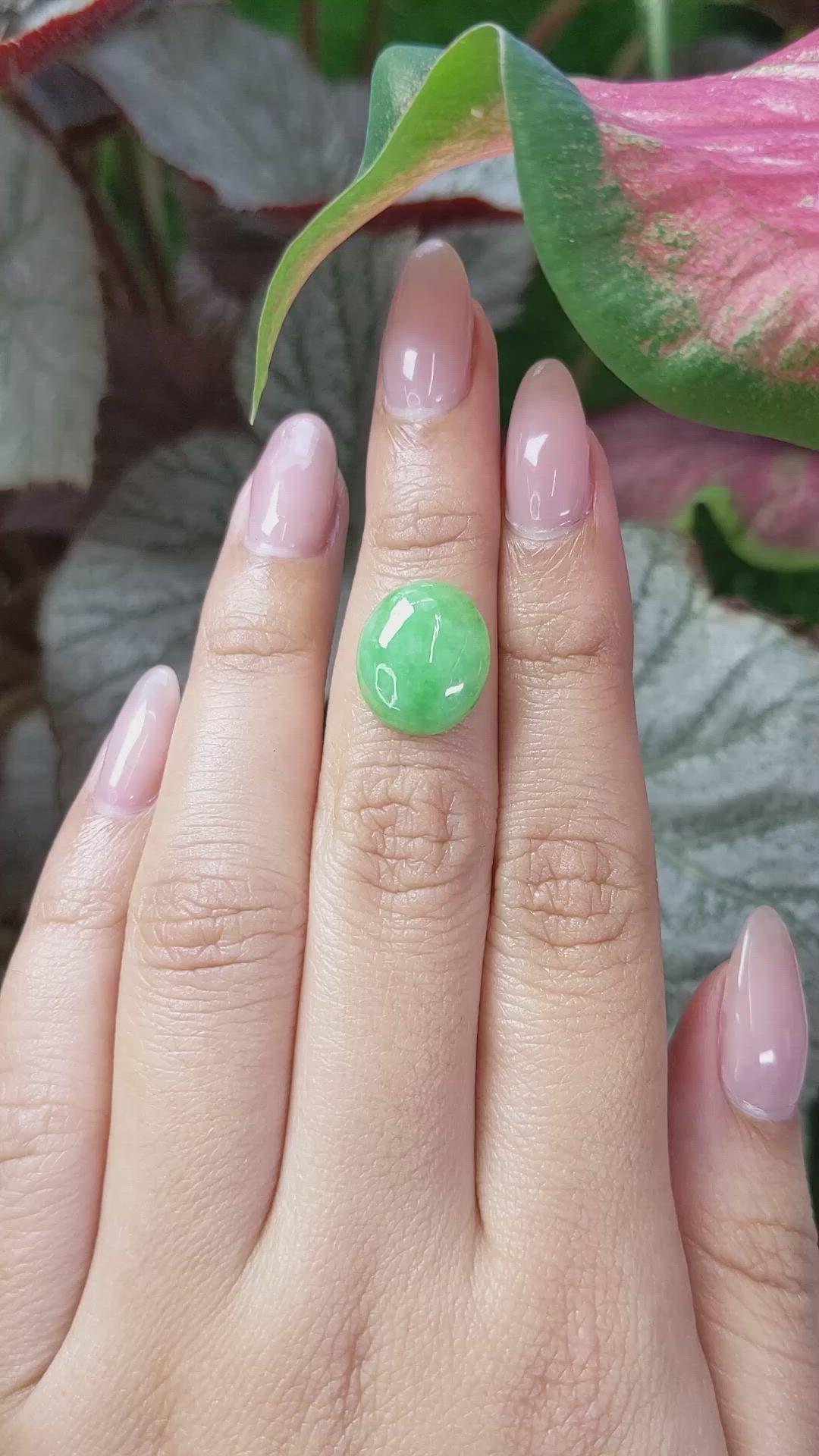 6.09 Ct. Cabochon Jade from Burma (Myanmar) Size Video