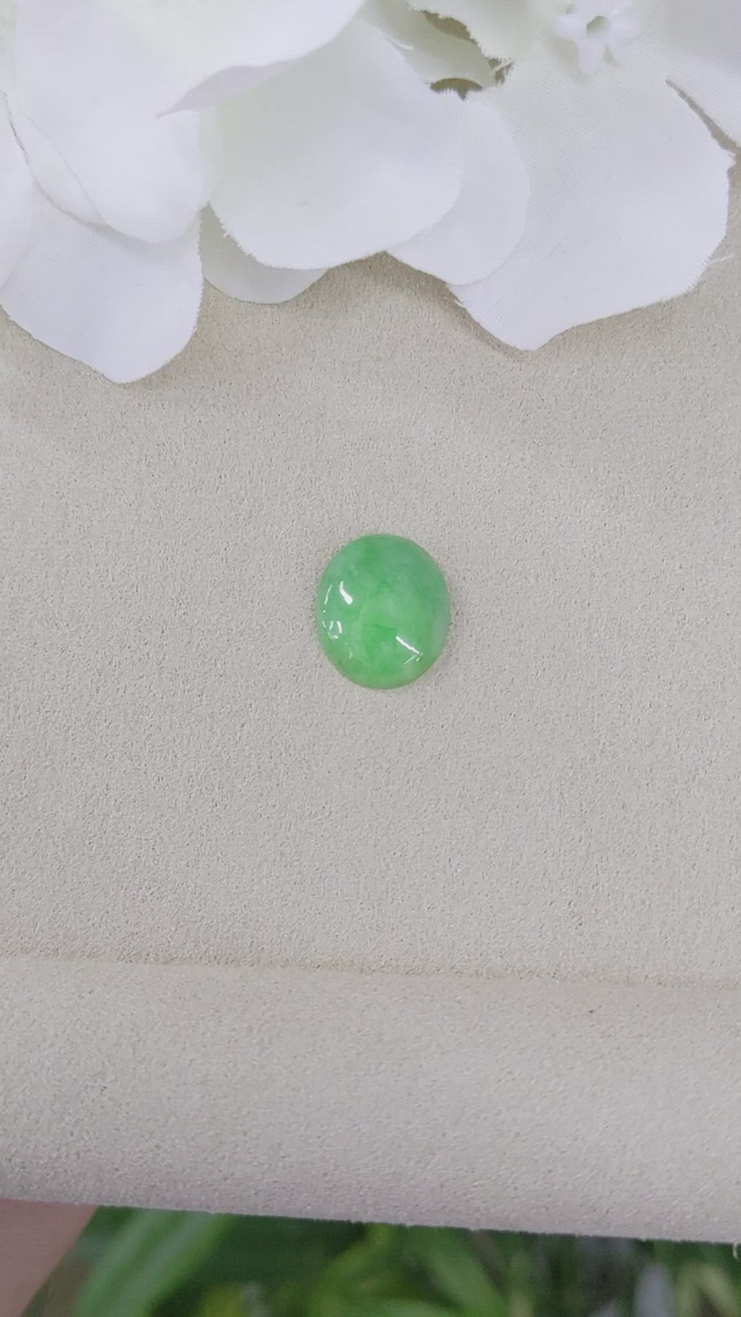 6.09 Ct. Cabochon Jade from Burma (Myanmar) Size Video
