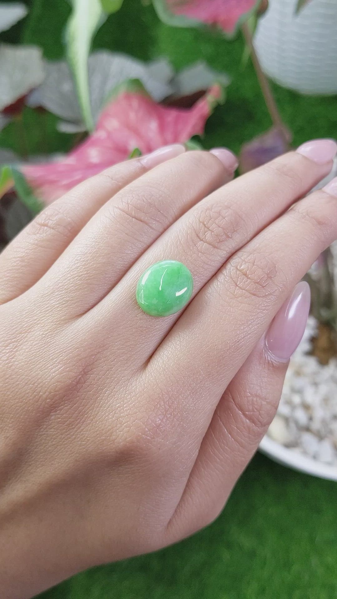 6.09 Ct. Cabochon Jade from Burma (Myanmar) Size Video