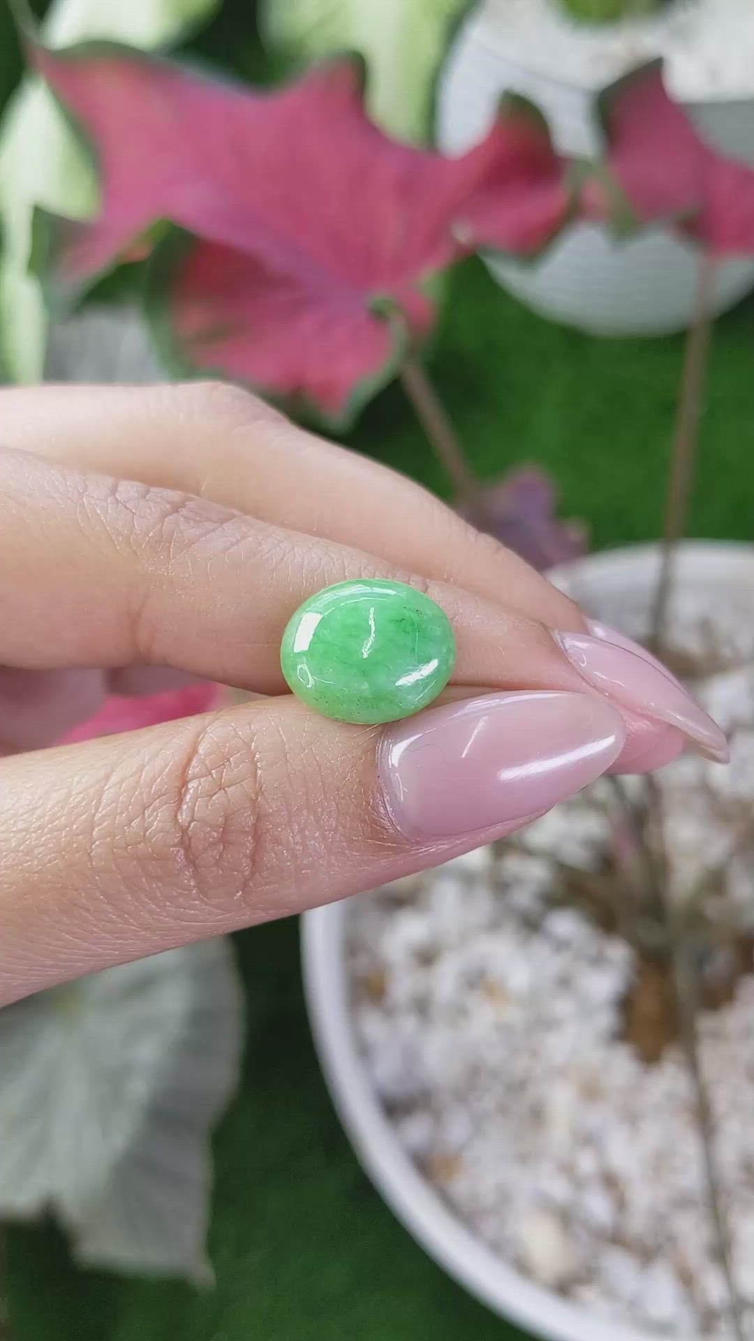 5.66 Ct. Cabochon Jade from Burma (Myanmar) Size Video