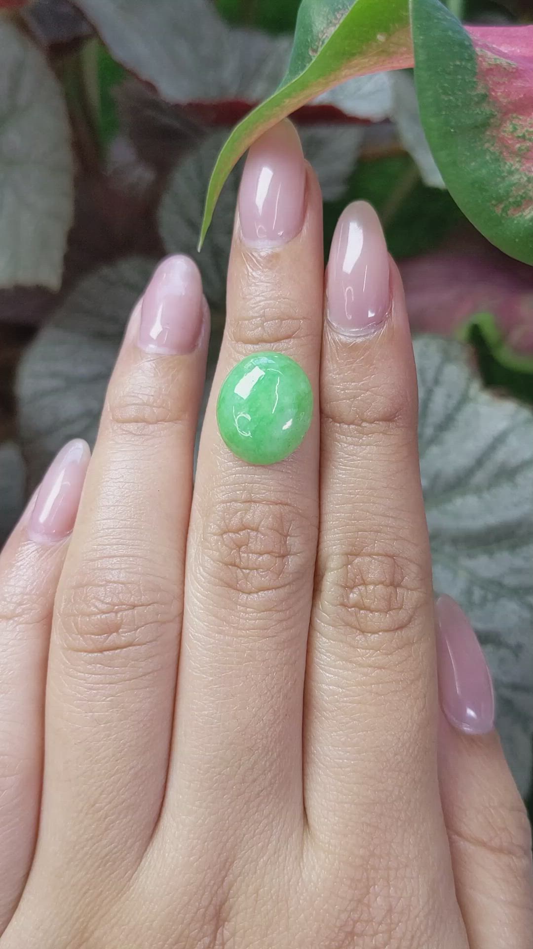 5.66 Ct. Cabochon Jade from Burma (Myanmar) Size Video