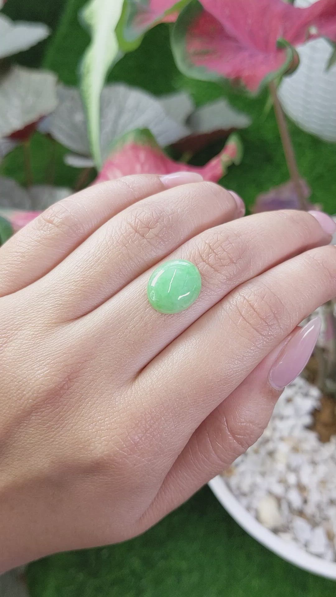 5.37 Ct. Green Cabochon Jade from Burma (Myanmar) Size Video