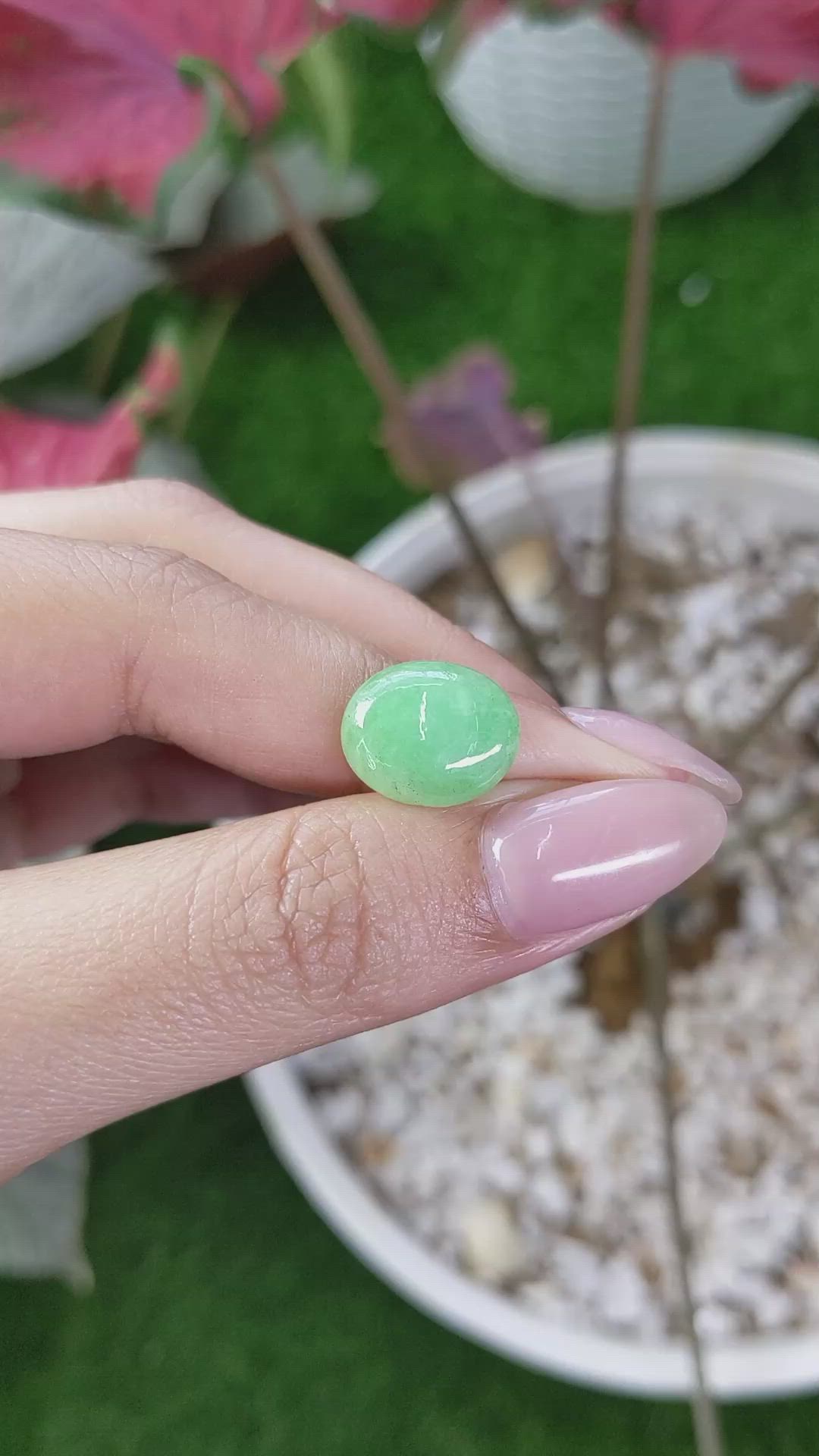 5.37 Ct. Green Cabochon Jade from Burma (Myanmar) Size Video