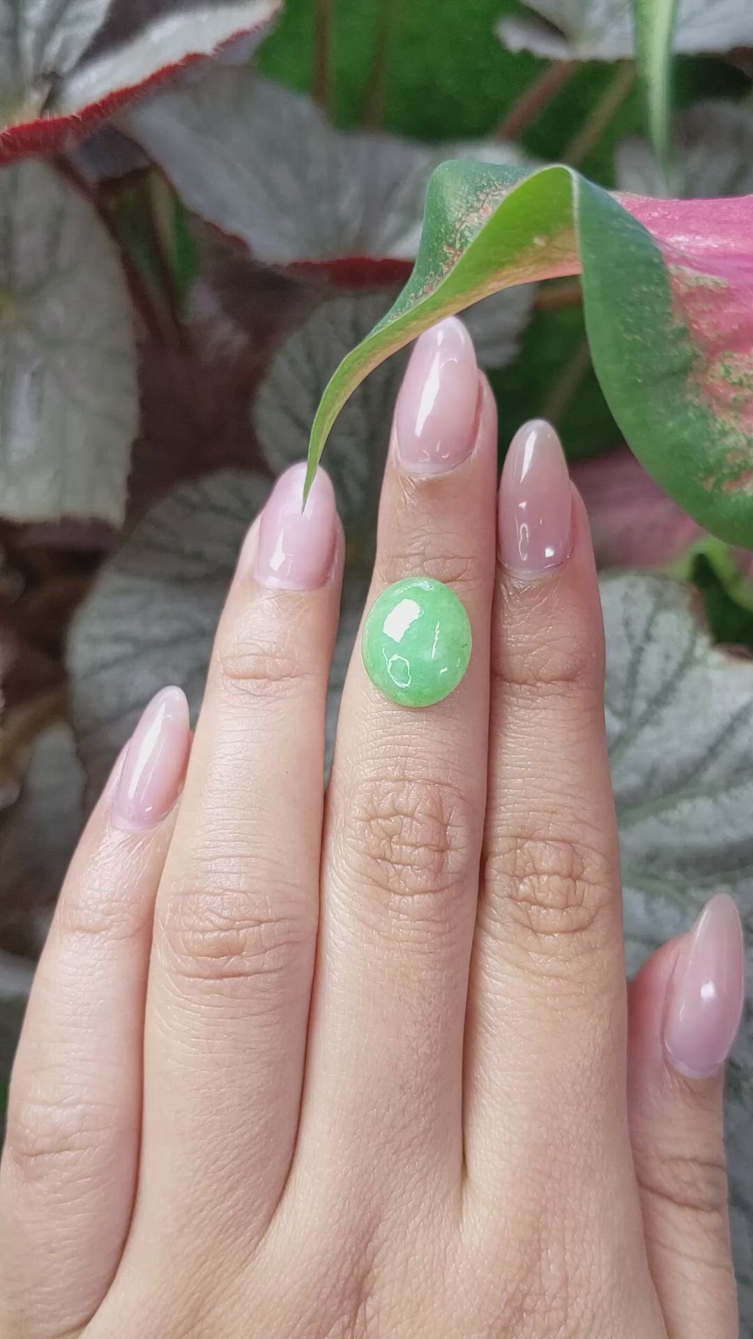 5.37 Ct. Green Cabochon Jade from Burma (Myanmar) Size Video