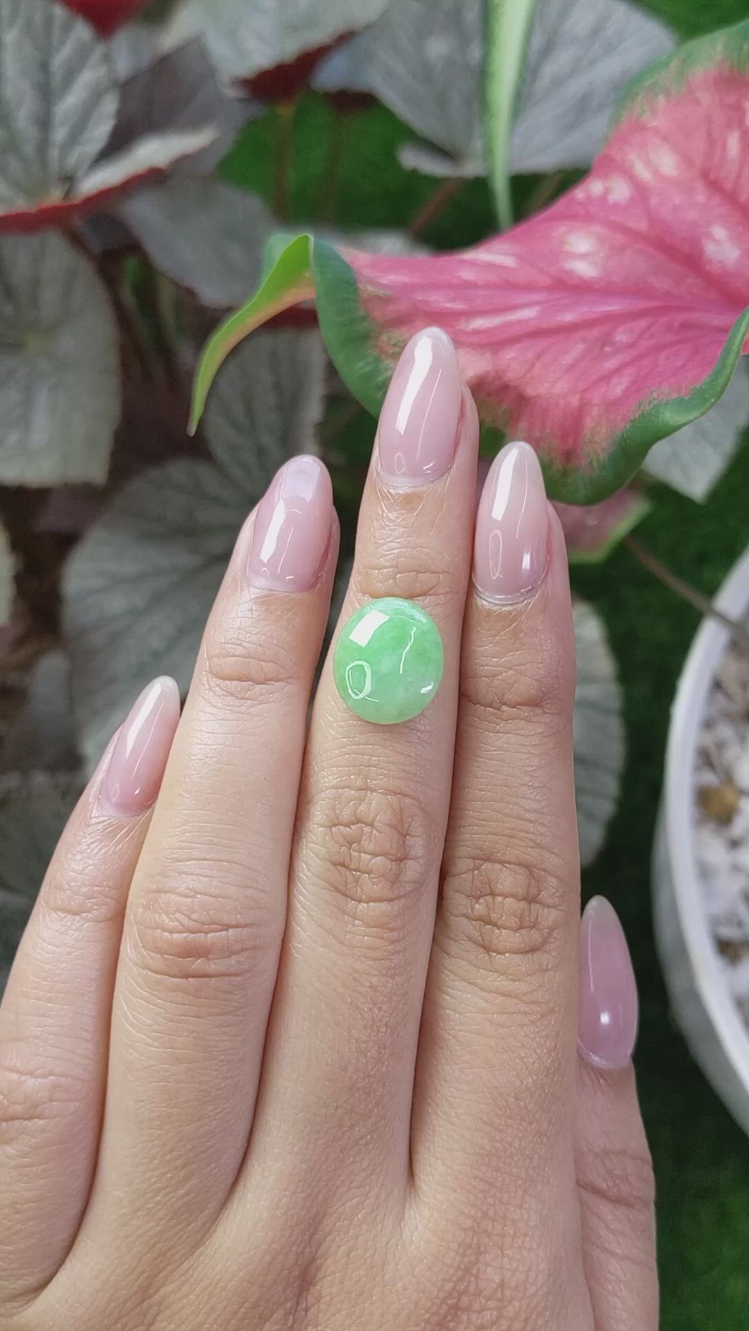 4.69 Ct. Cabochon Jade from Burma (Myanmar) Size Video