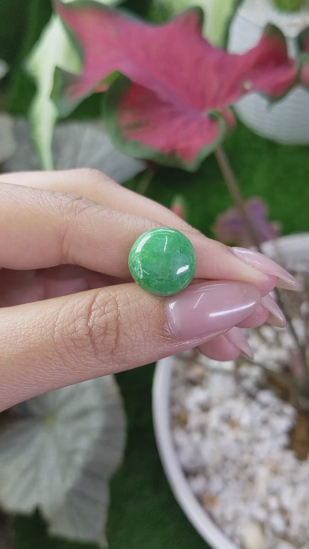 6.53 Ct. Green Cabochon Jade from Burma (Myanmar) Size Video