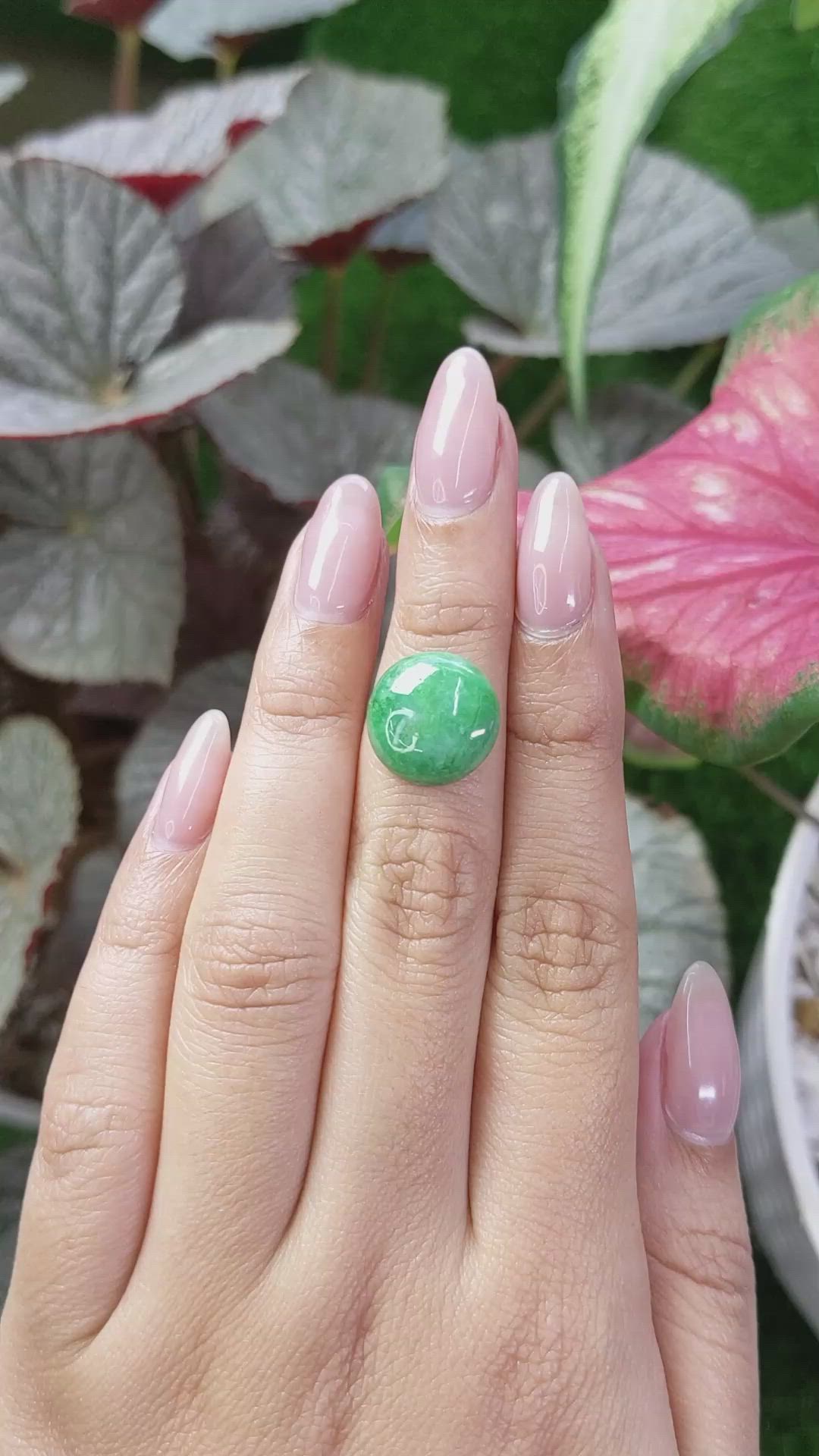 6.53 Ct. Green Cabochon Jade from Burma (Myanmar) Size Video