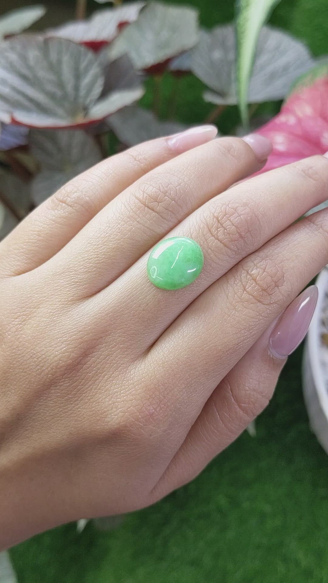 5.20 Ct. Green Cabochon Jade from Burma (Myanmar) Size Video