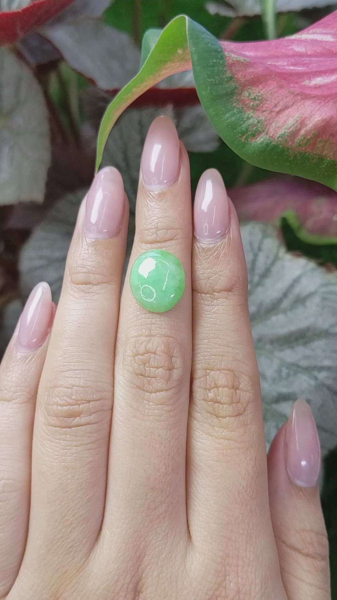 5.20 Ct. Green Cabochon Jade from Burma (Myanmar) Size Video