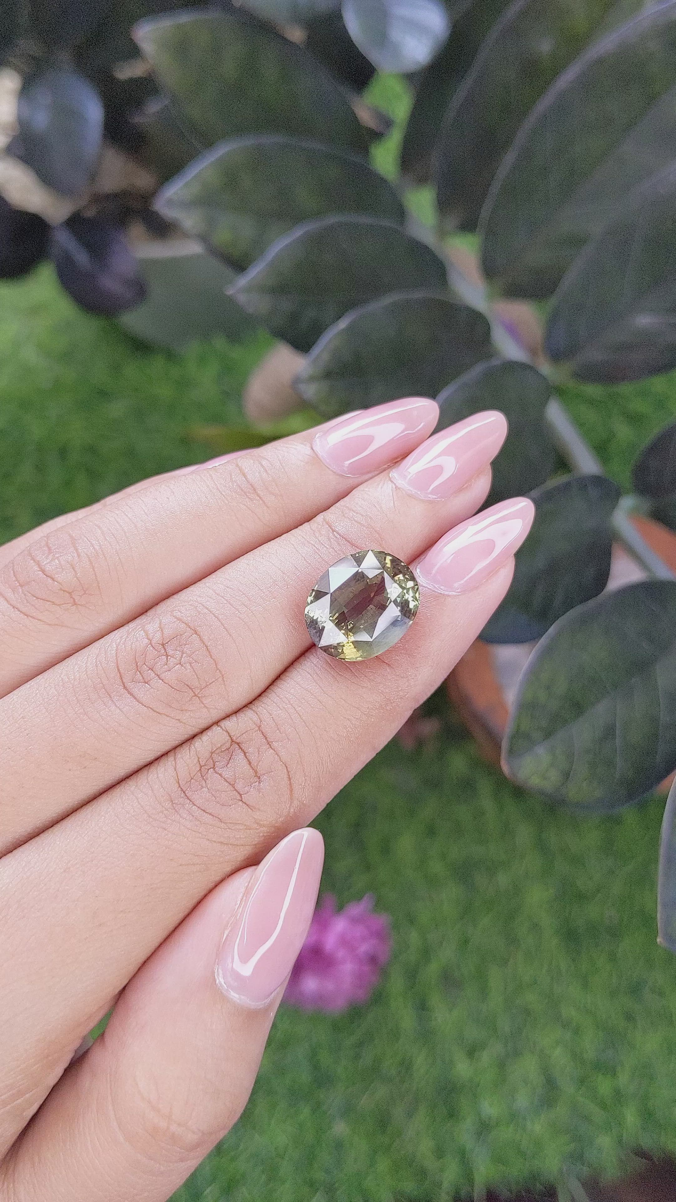 12.01 Ct. Alexandrite from Tanzania Size Video
