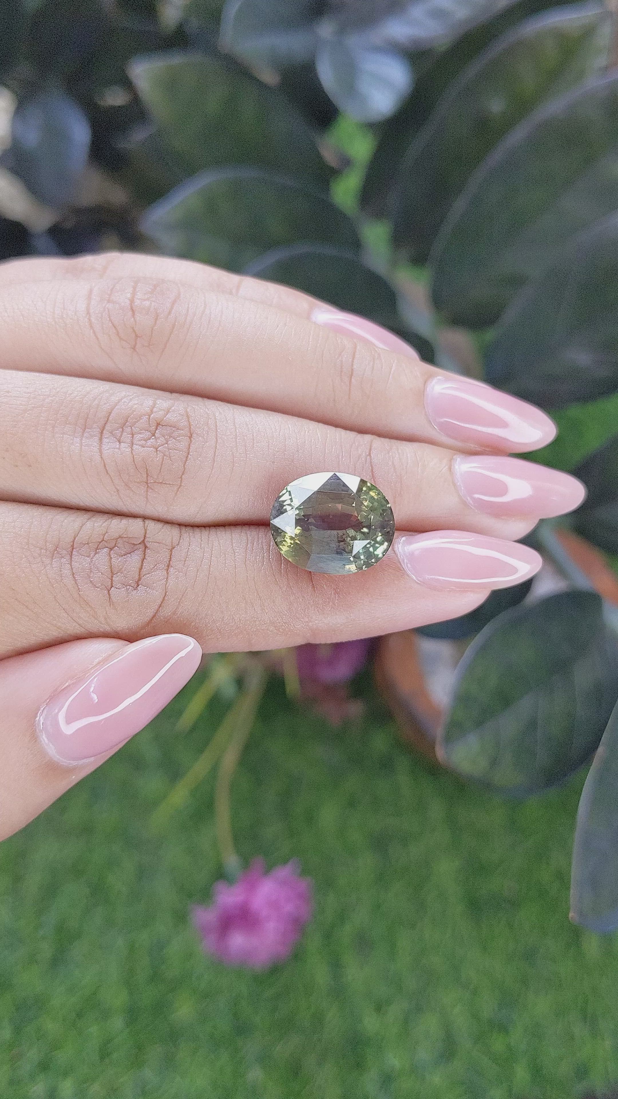 12.01 Ct. Alexandrite from Tanzania Size Video