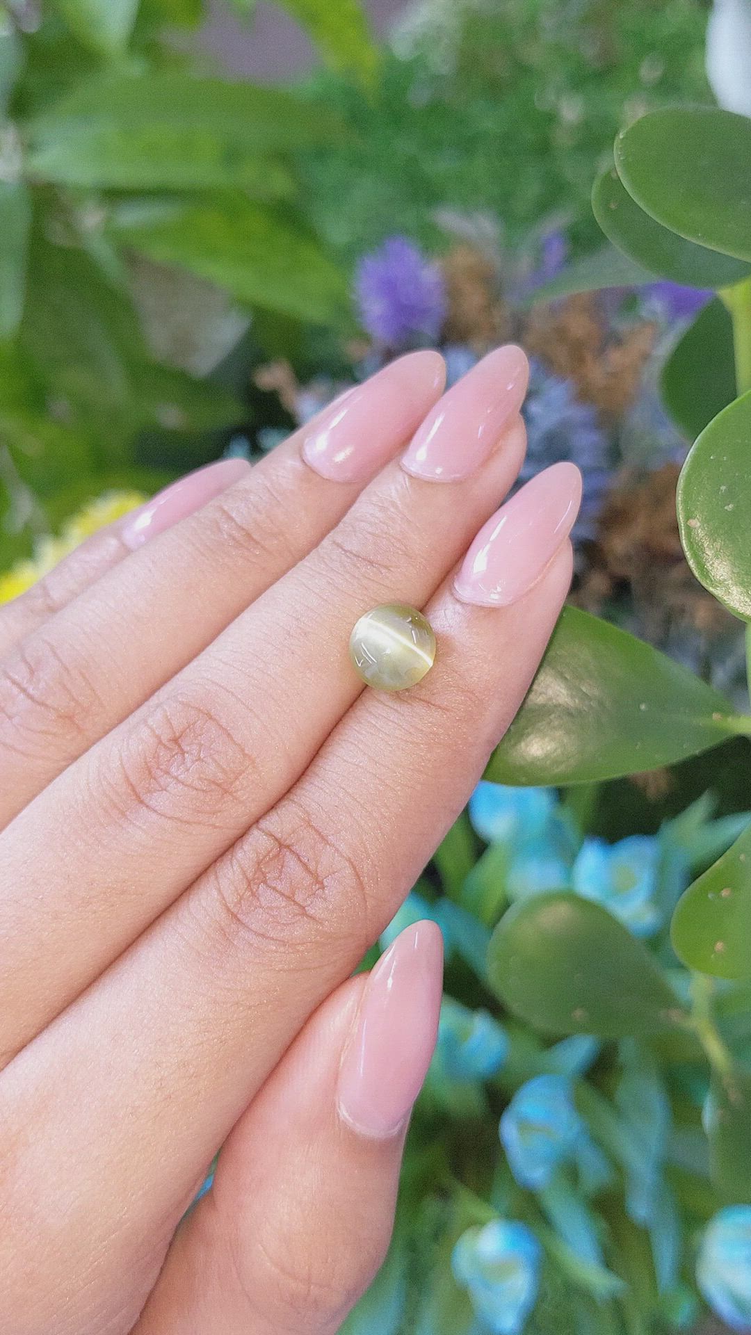 3.52 Ct. Greenish Yellow Cabochon Chrysoberyl from Ceylon (Sri Lanka) Size Video