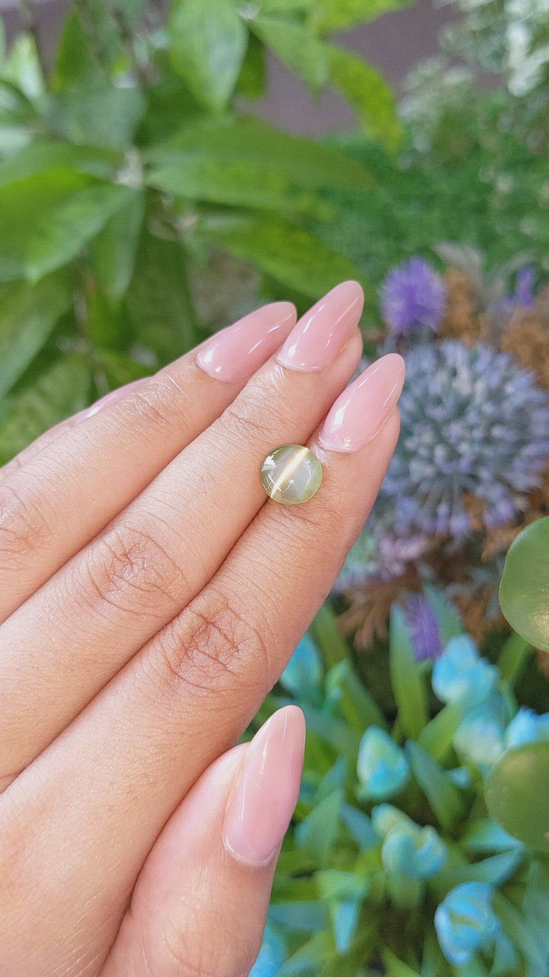 3.26 Ct. Yellowish Green Cabochon Chrysoberyl from Ceylon (Sri Lanka) Size Video