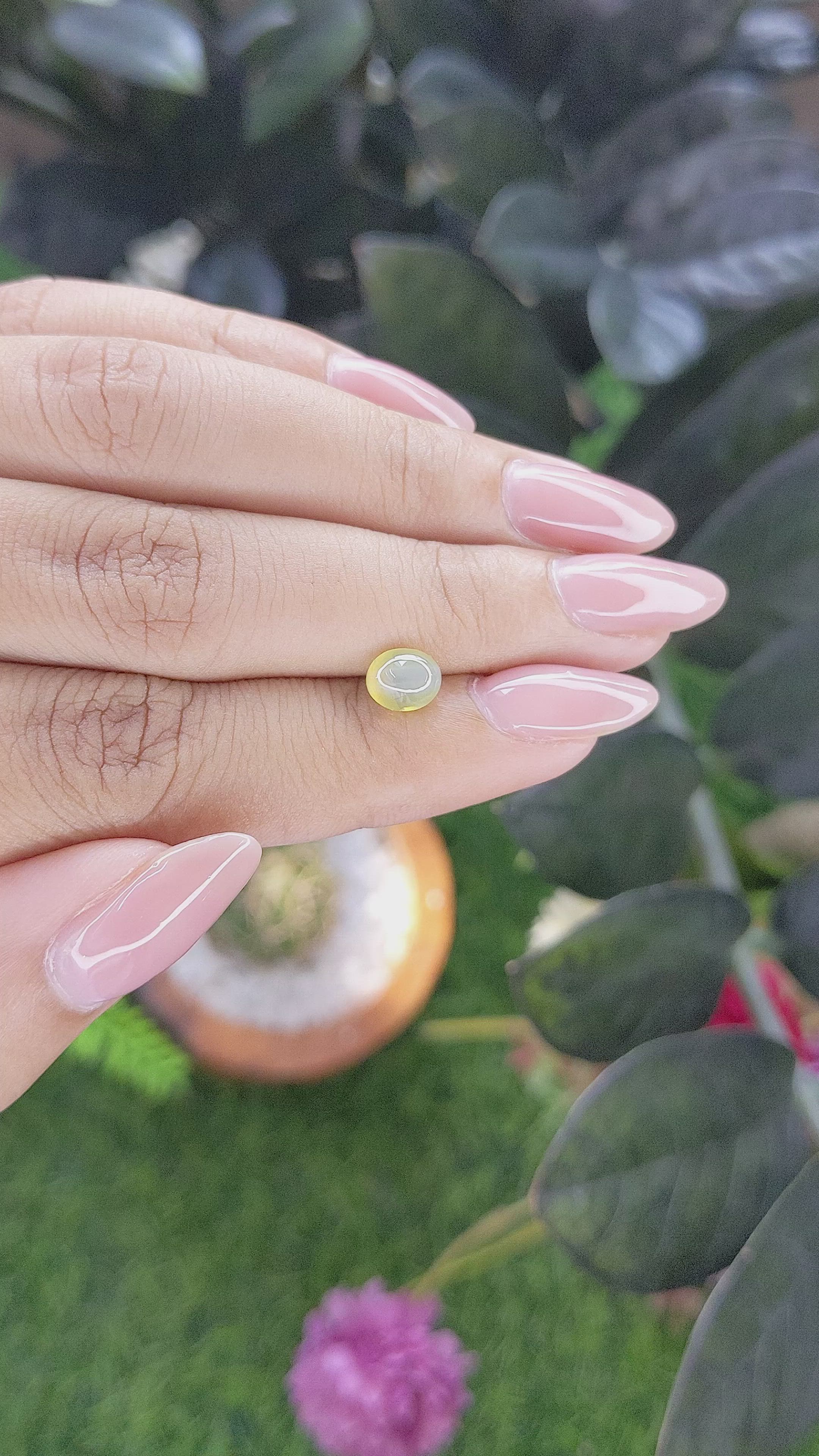 1.48 Ct. Greenish Yellow Cabochon Chrysoberyl from Ceylon (Sri Lanka) Size Video