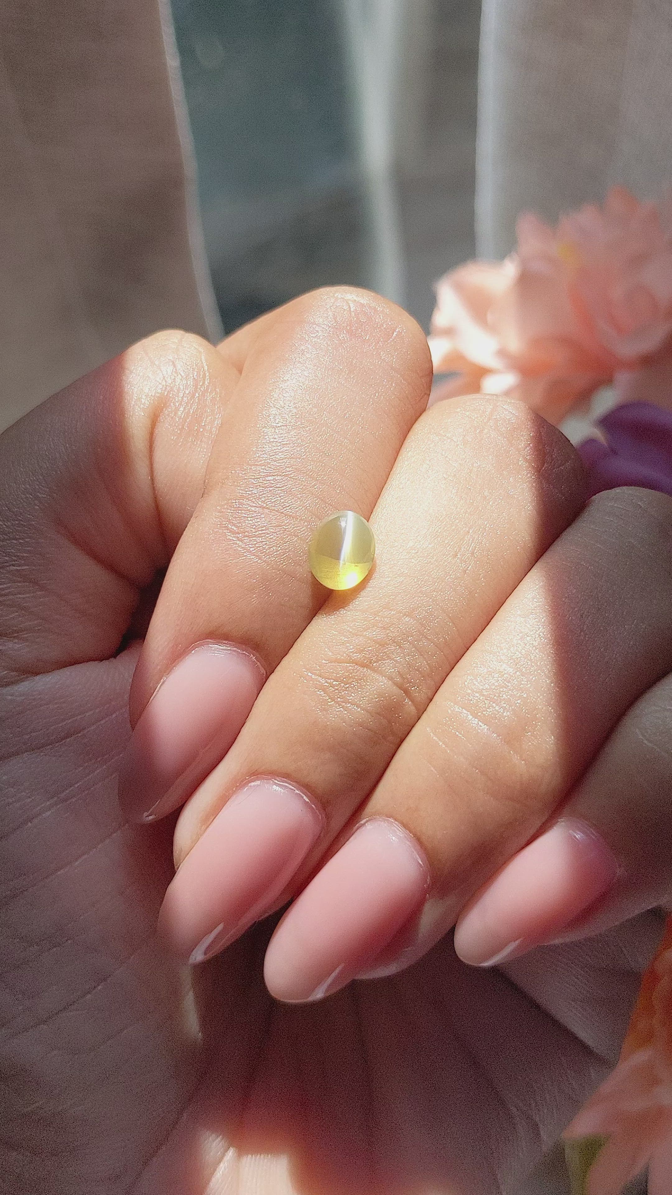 1.48 Ct. Greenish Yellow Cabochon Chrysoberyl from Ceylon (Sri Lanka) Size Video