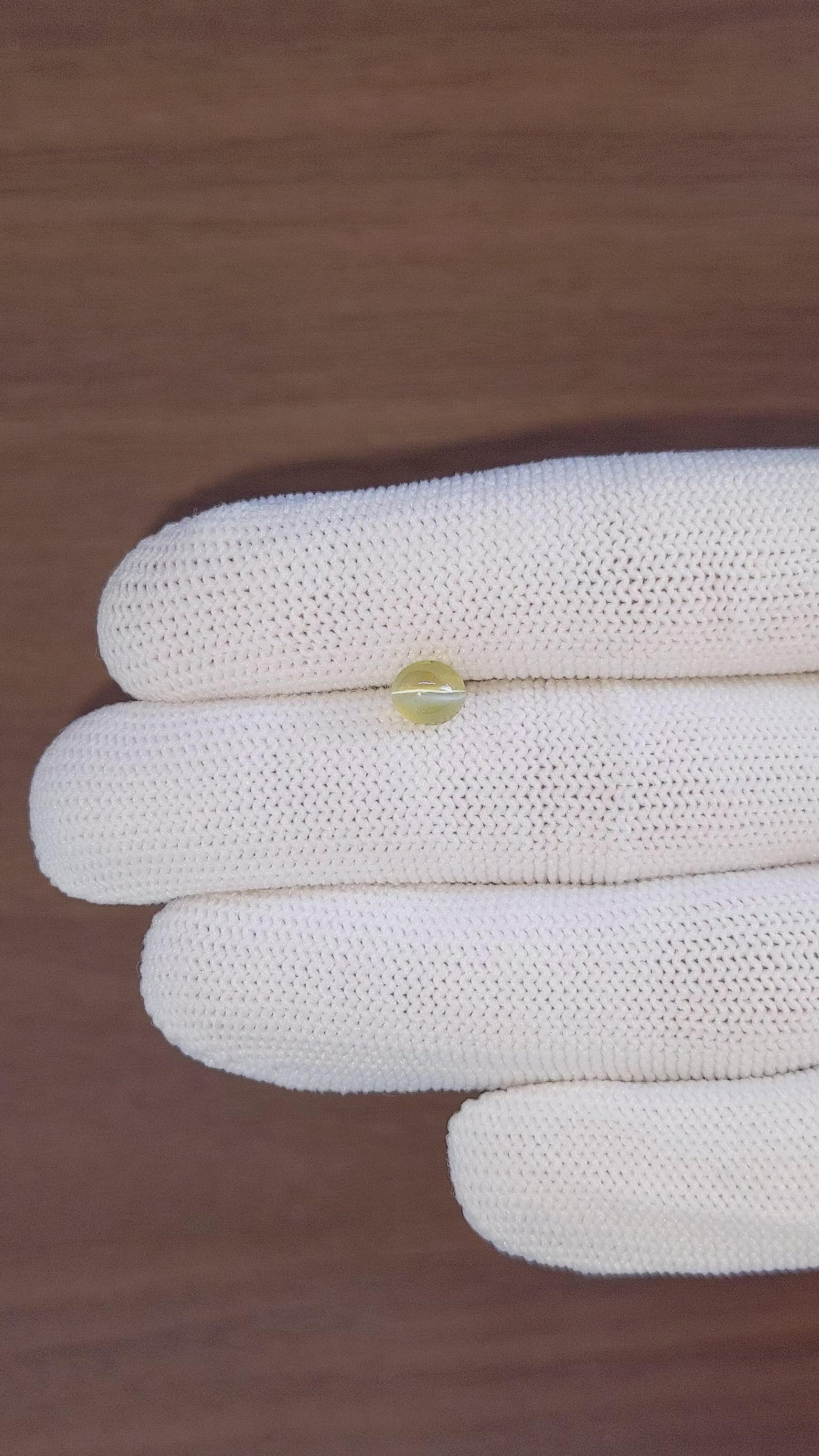 1.48 Ct. Greenish Yellow Cabochon Chrysoberyl from Ceylon (Sri Lanka) Size Video