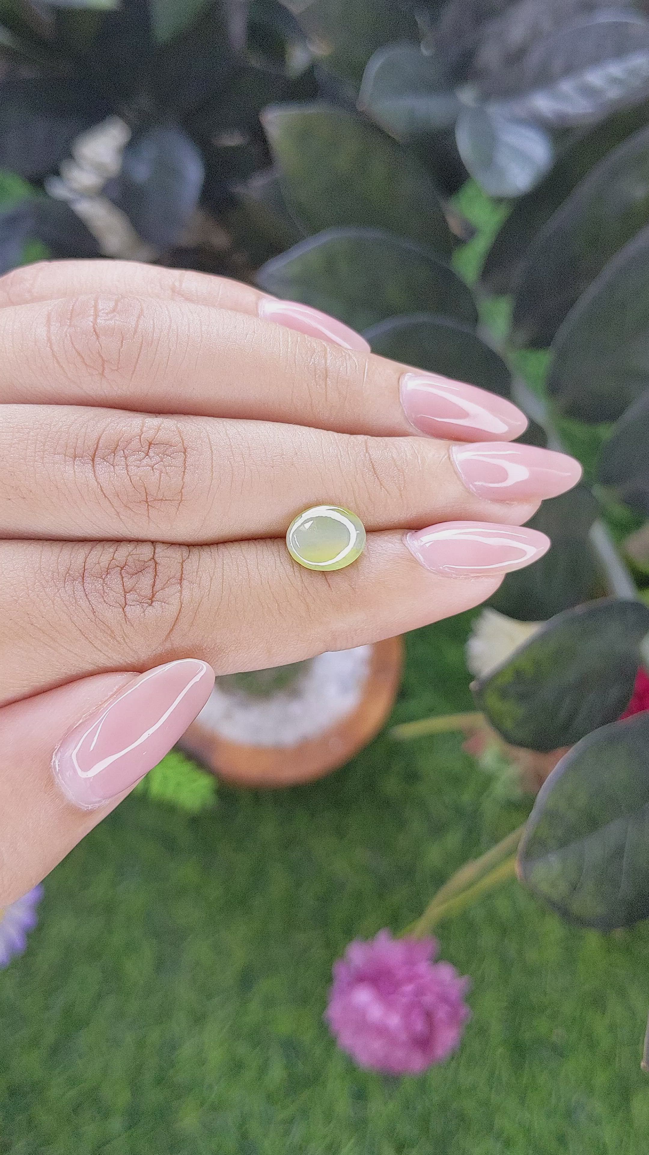 2.51 Ct. Greenish Yellow Cabochon Chrysoberyl from Ceylon (Sri Lanka) Size Video