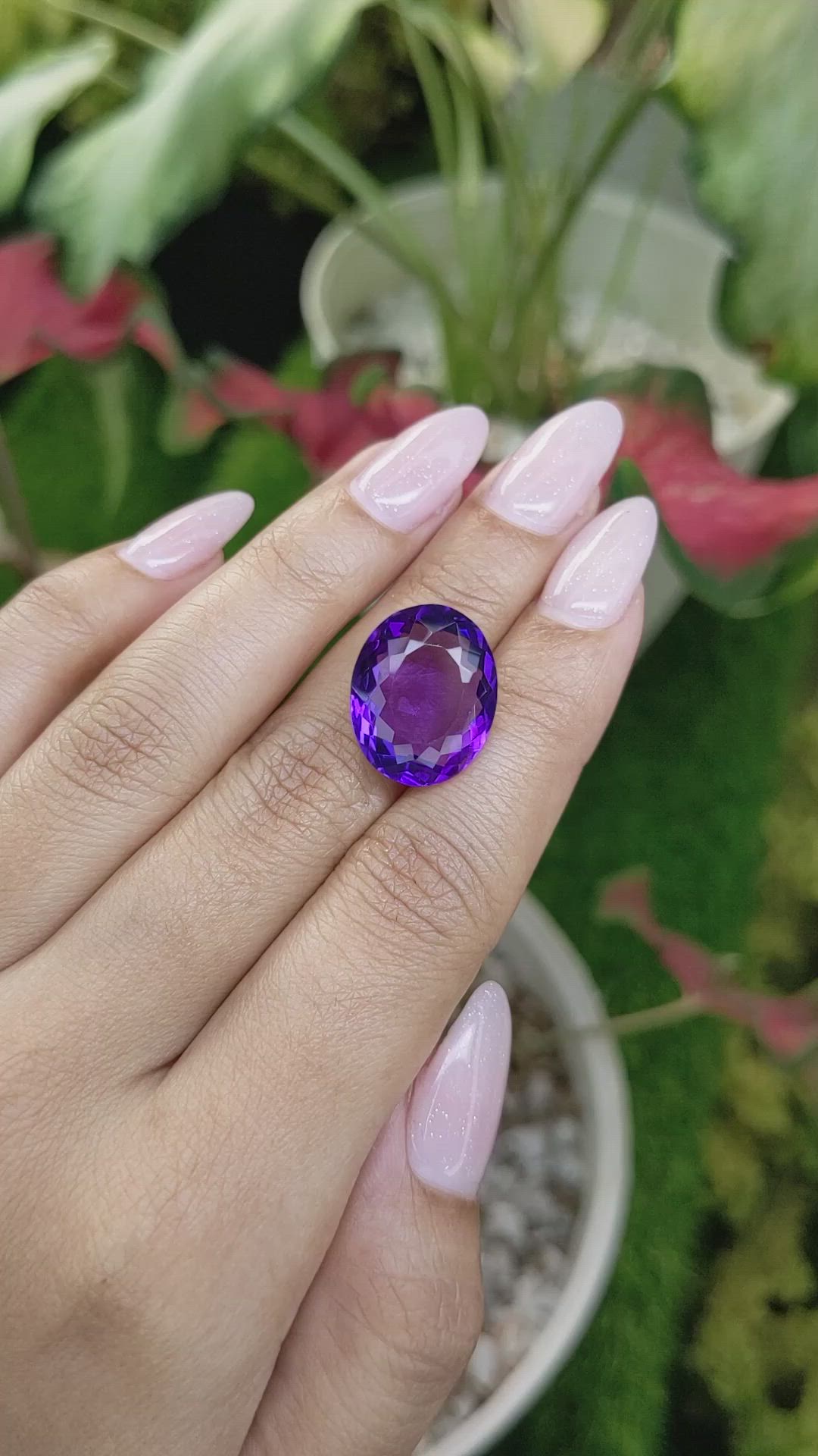 12.36 Ct. Amethyst from Ceylon (Sri Lanka) Size Video