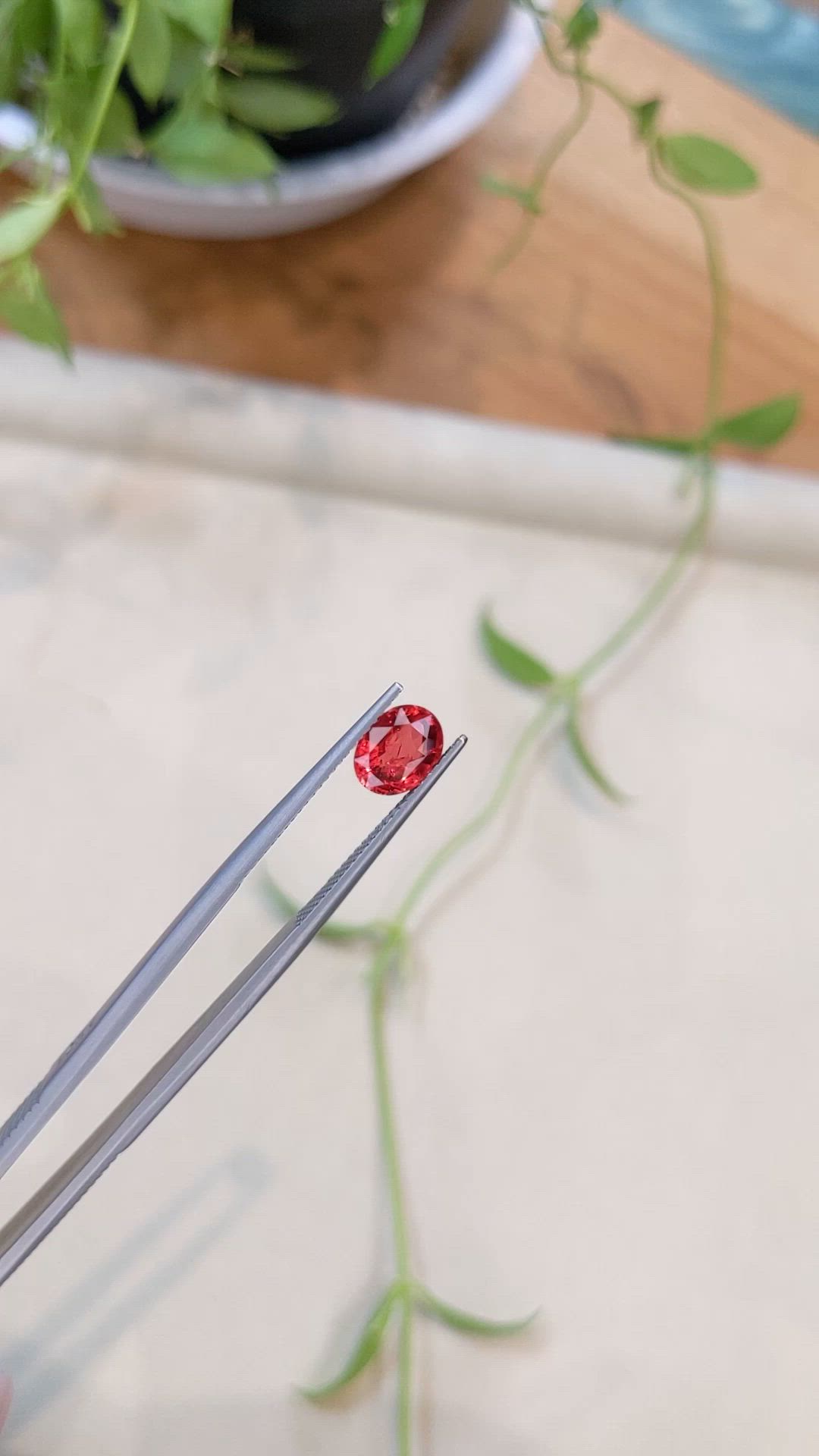 1.55 Ct. Red Spinel from Burma (Myanmar) Size Video