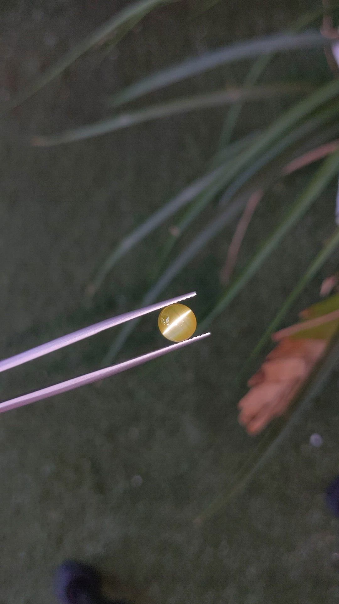 2.53 Ct. Greenish Yellow Chrysoberyl from Ceylon (Sri Lanka) Size Video