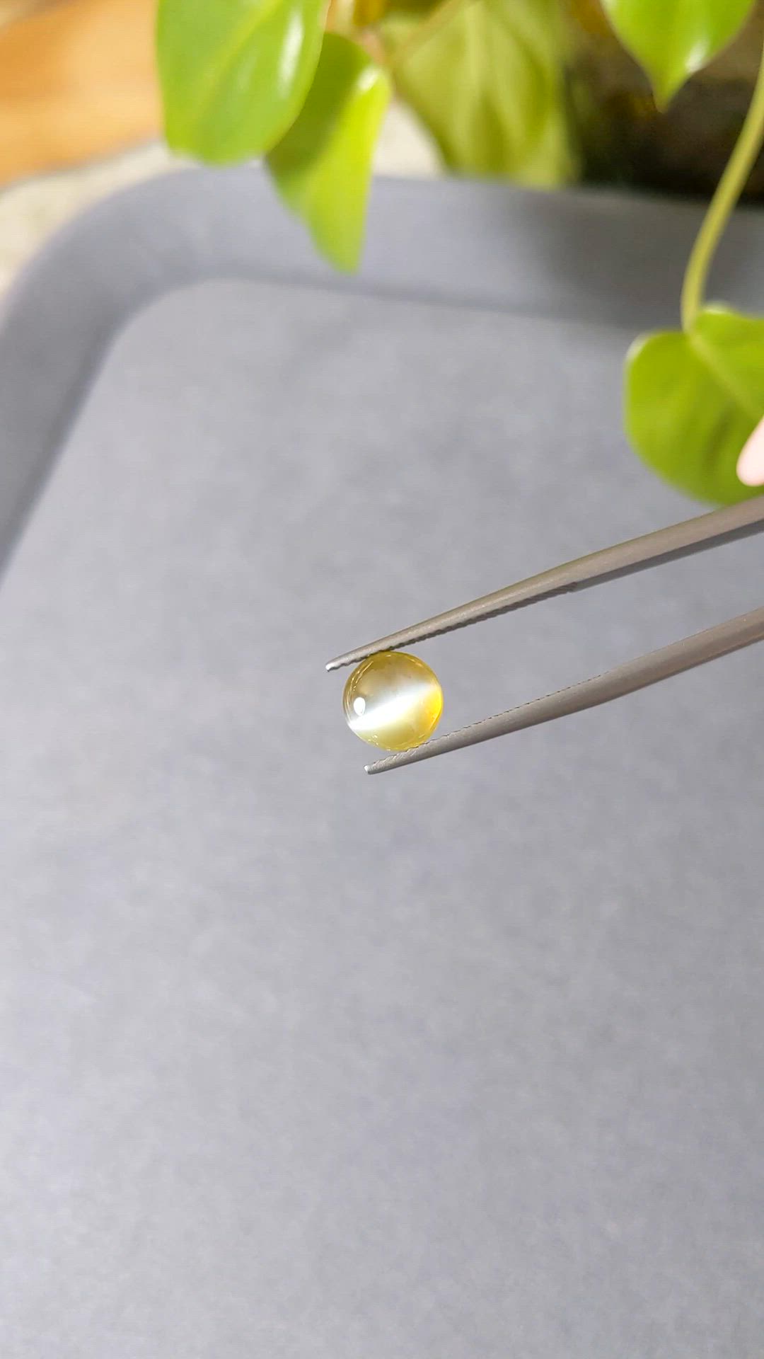 3.05 Ct. Greenish Yellow Cabochon Chrysoberyl from Ceylon (Sri Lanka) Size Video