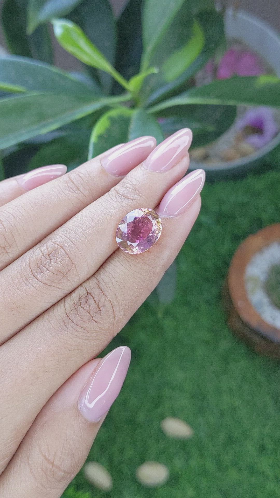 5.57 Ct. Bi Color Tourmaline from Ceylon (Sri Lanka) Size Video