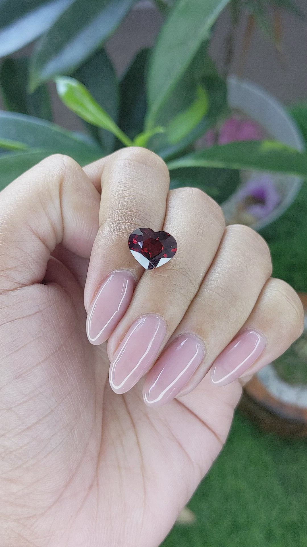4.62 Ct. Red Garnet from Ceylon (Sri Lanka) Size Video