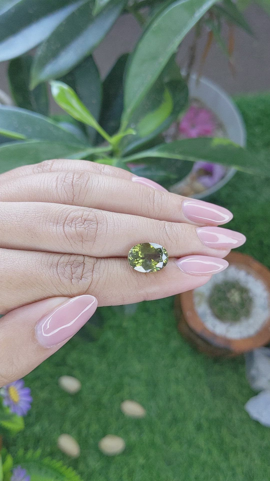 5.25 Ct. Alexandrite from Ceylon (Sri Lanka) Size Video