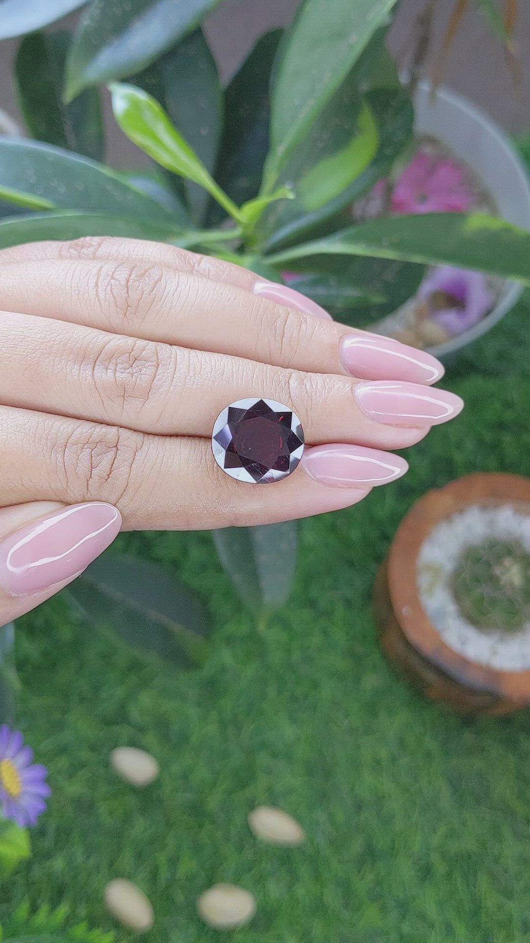 10.13 Ct. Purplish Red Garnet from Ceylon (Sri Lanka) Size Video