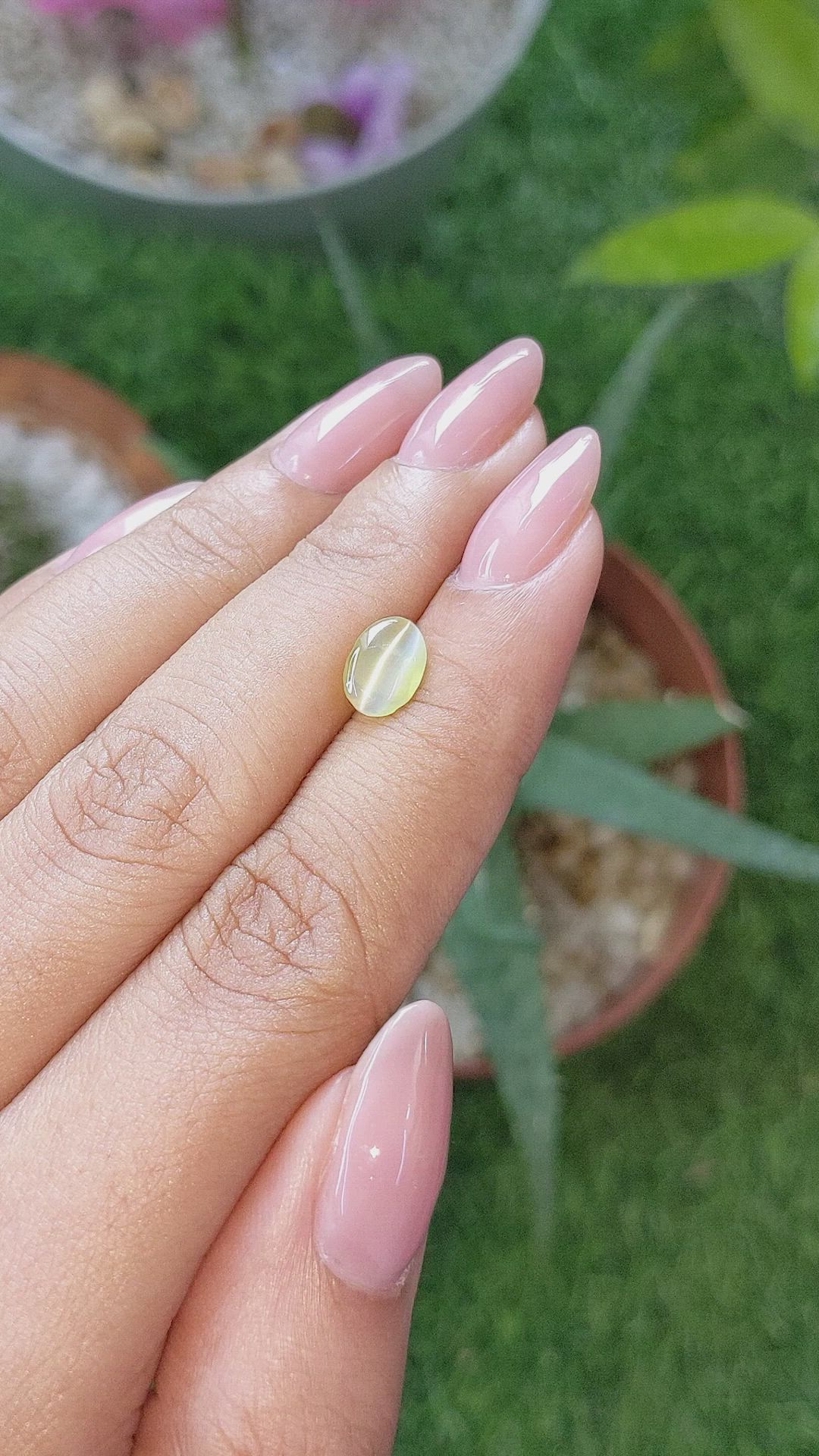 1.46 Ct. Greenish Yellow Cabochon Chrysoberyl from Ceylon (Sri Lanka) Size Video