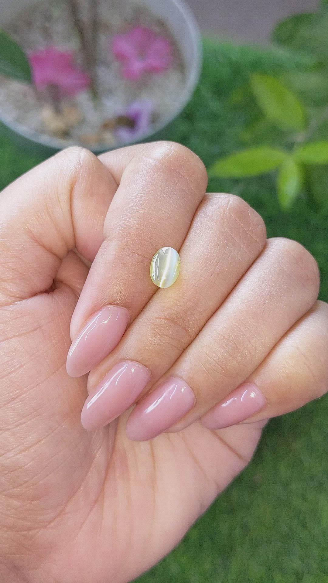 1.46 Ct. Greenish Yellow Cabochon Chrysoberyl from Ceylon (Sri Lanka) Size Video