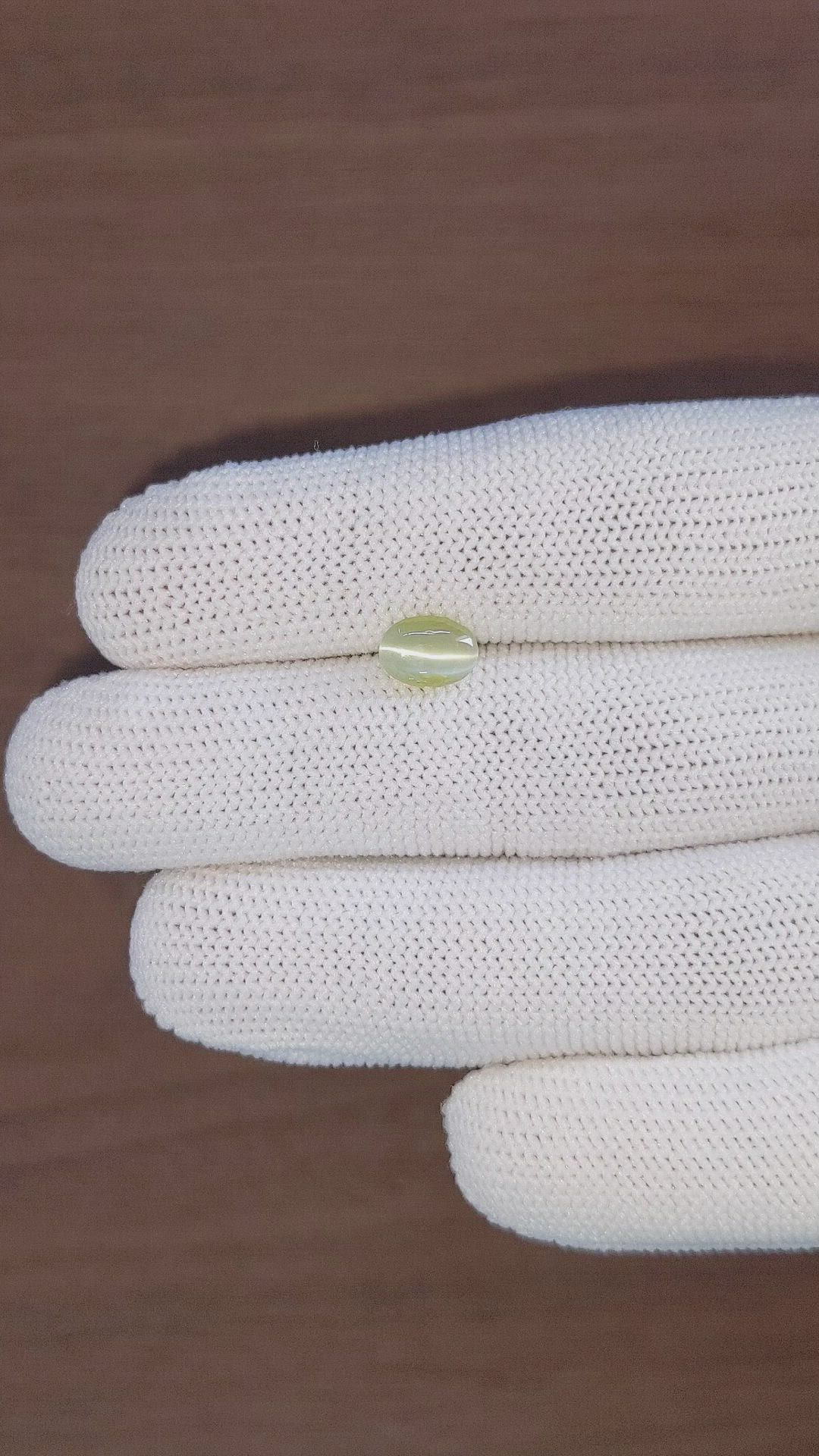 1.46 Ct. Greenish Yellow Cabochon Chrysoberyl from Ceylon (Sri Lanka) Size Video