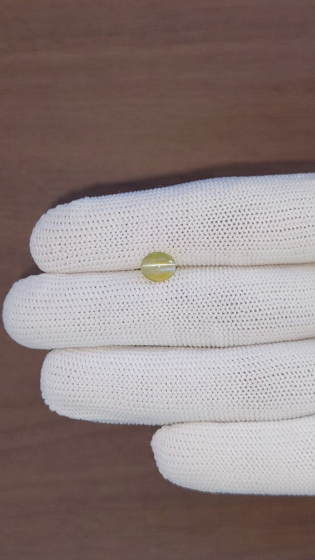 1.30 Ct. Brownish Yellow Cabochon Chrysoberyl from Ceylon (Sri Lanka) Size Video