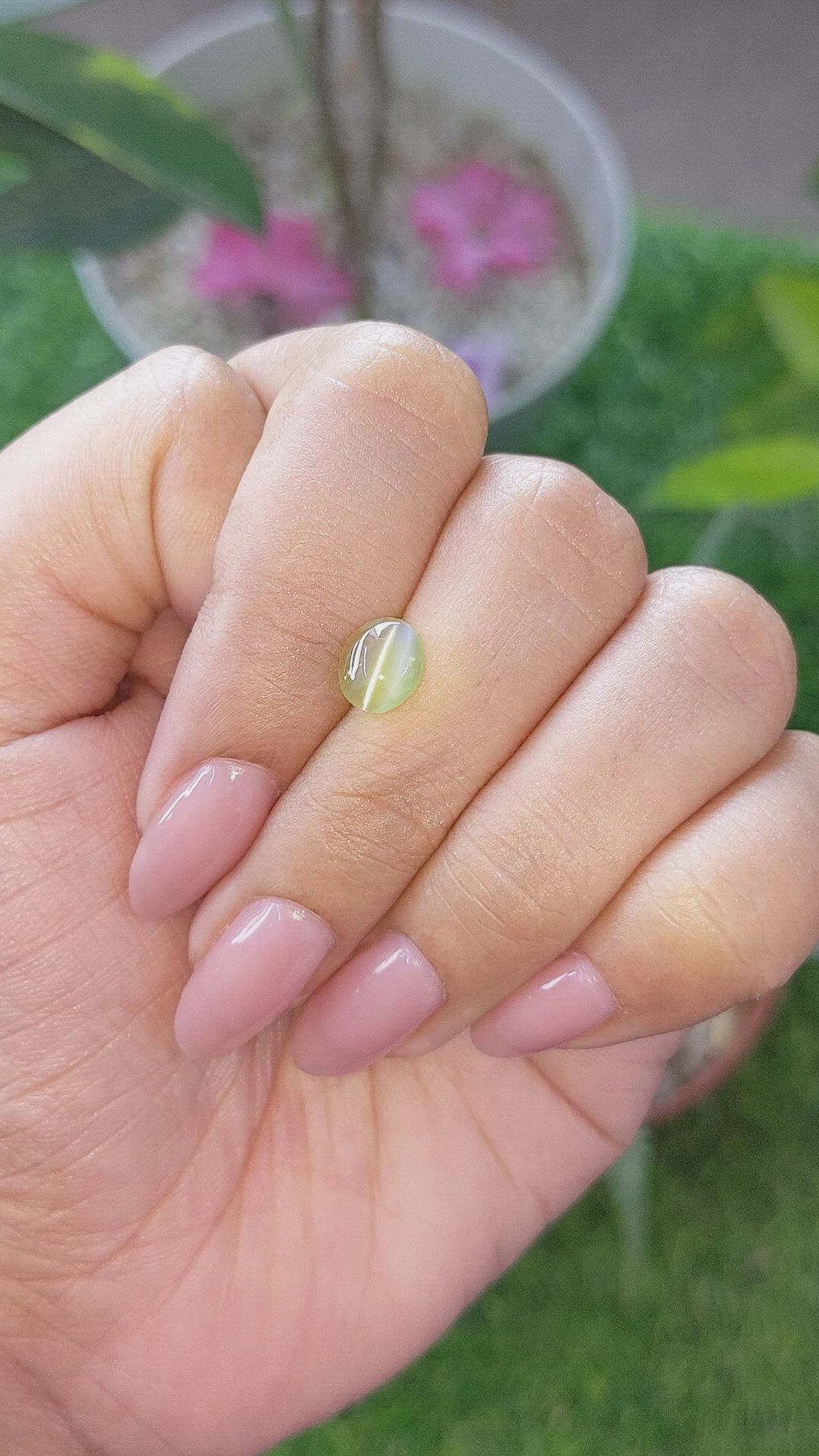 1.30 Ct. Brownish Yellow Cabochon Chrysoberyl from Ceylon (Sri Lanka) Size Video