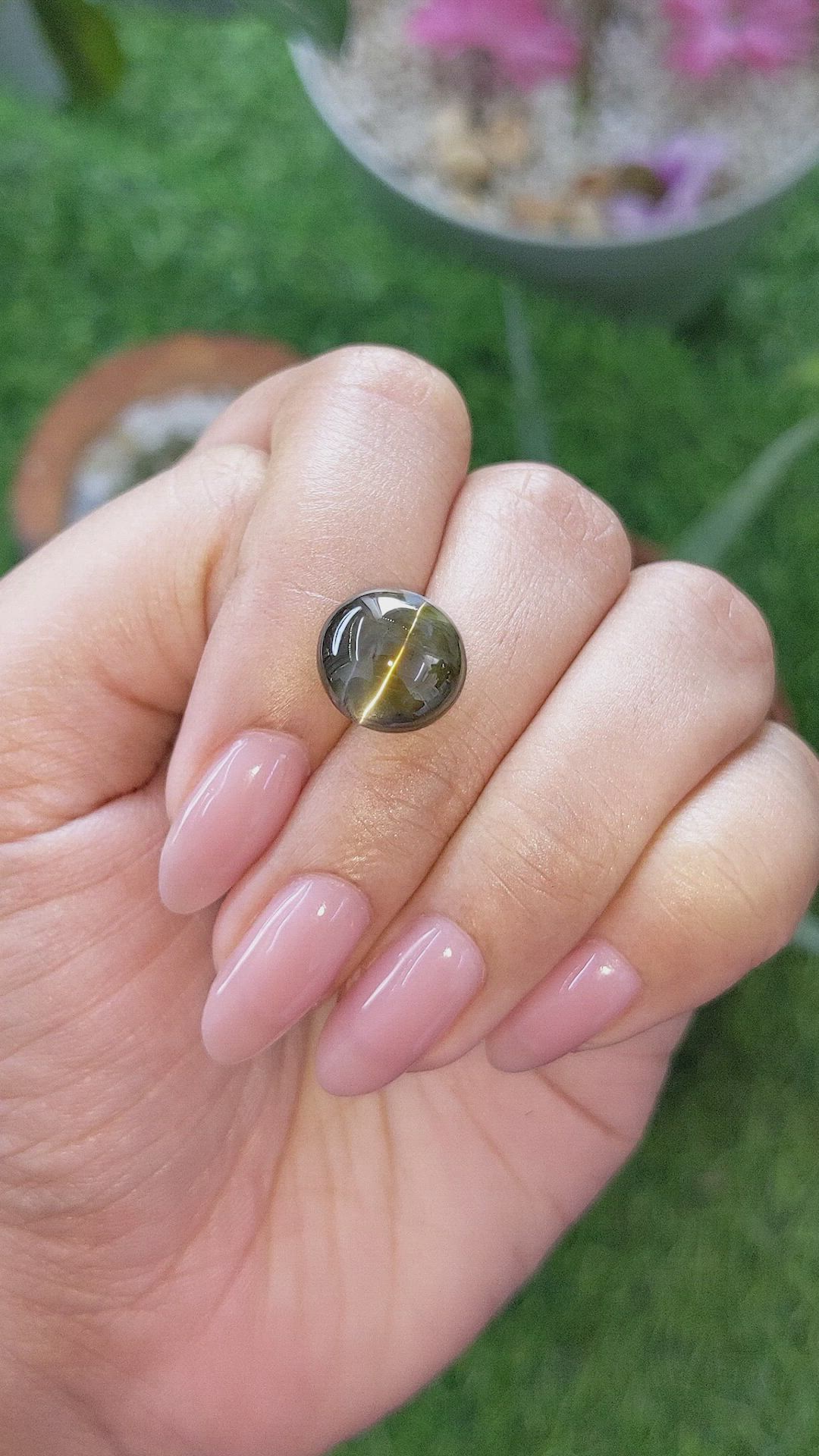 12.67 Ct. Brownish Green Cabochon Chrysoberyl from Ceylon (Sri Lanka) Size Video