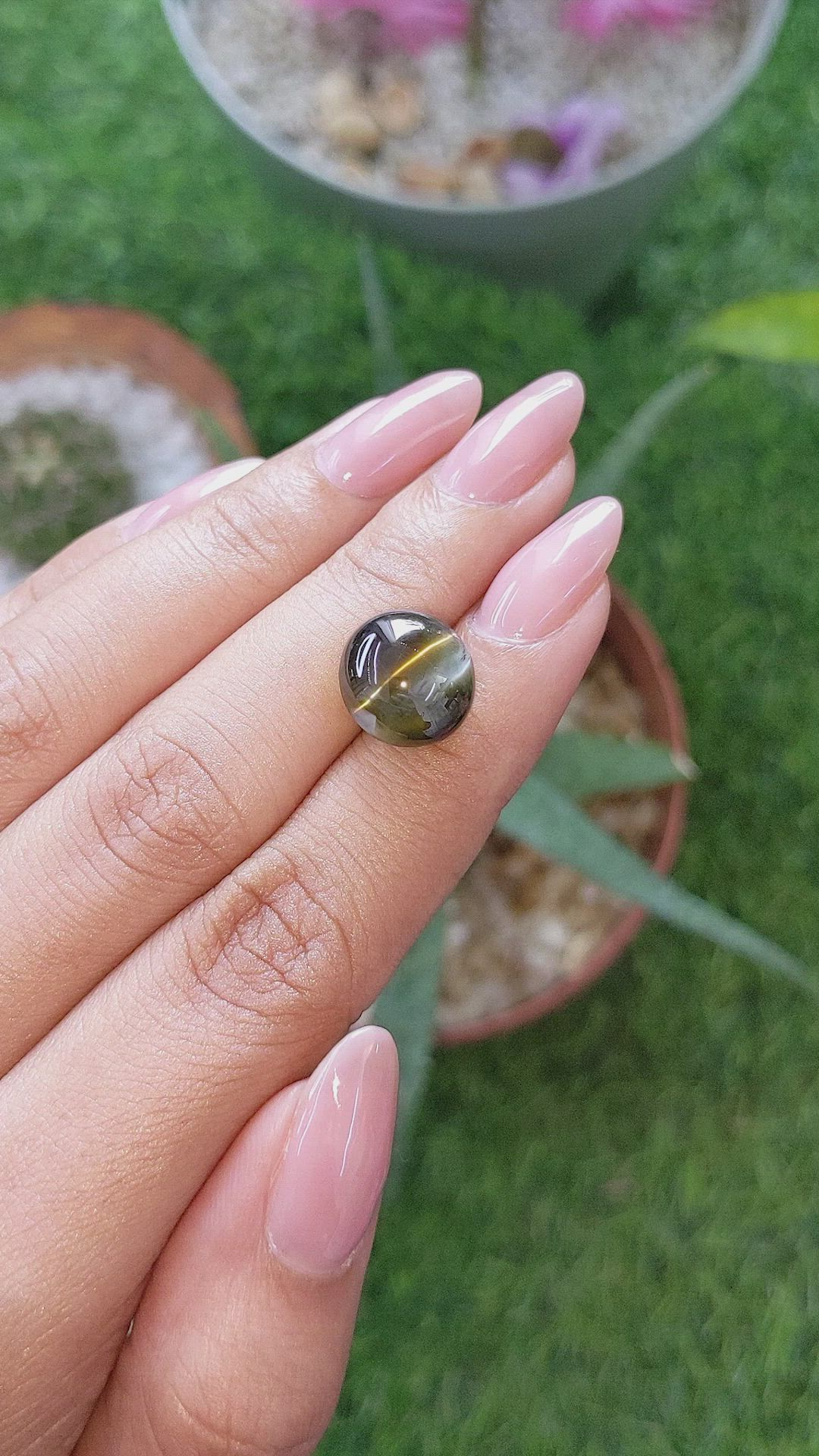12.67 Ct. Brownish Green Cabochon Chrysoberyl from Ceylon (Sri Lanka) Size Video