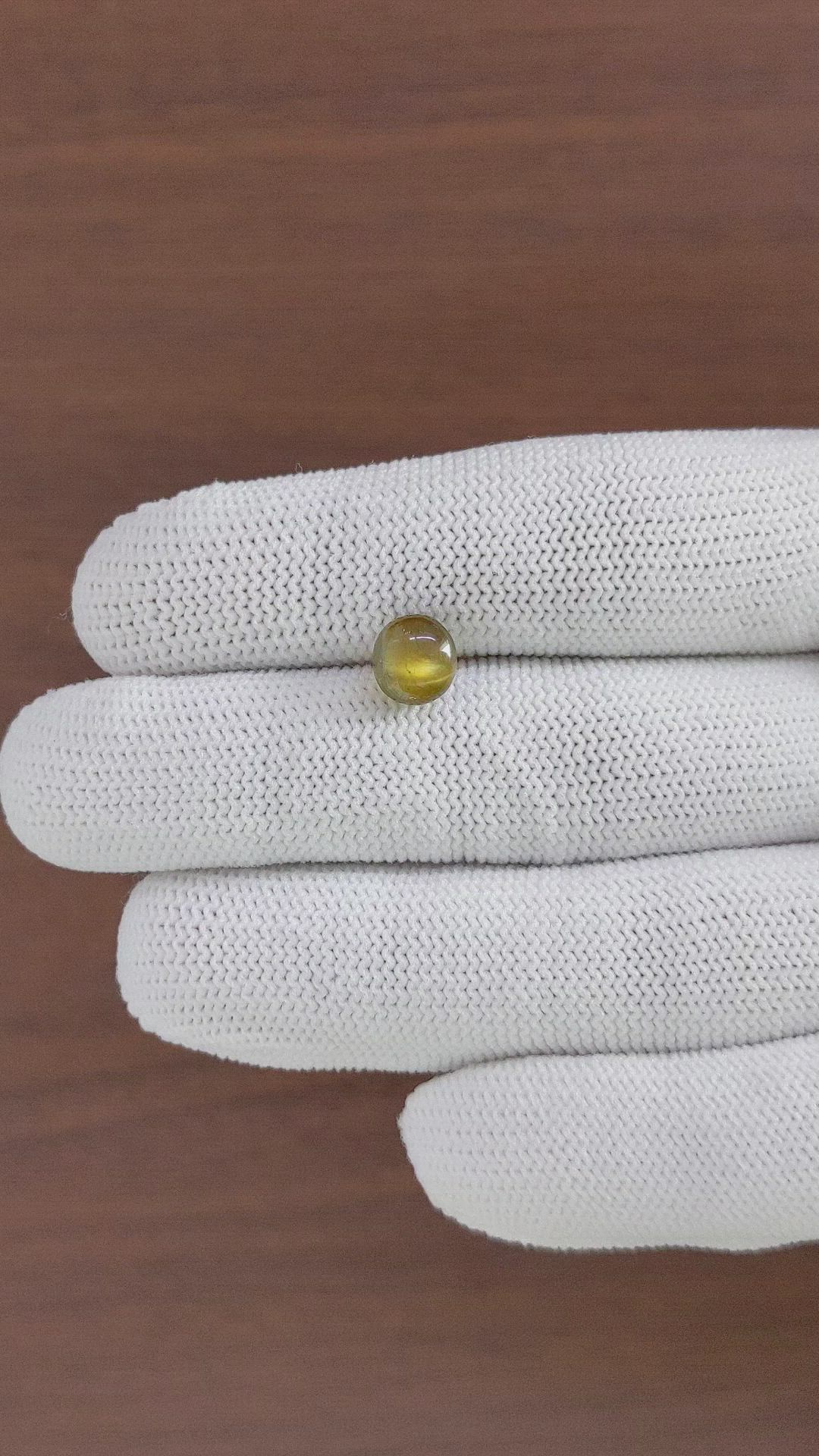 3.05 Ct. Brown Cabochon Chrysoberyl from Ceylon (Sri Lanka) Size Video