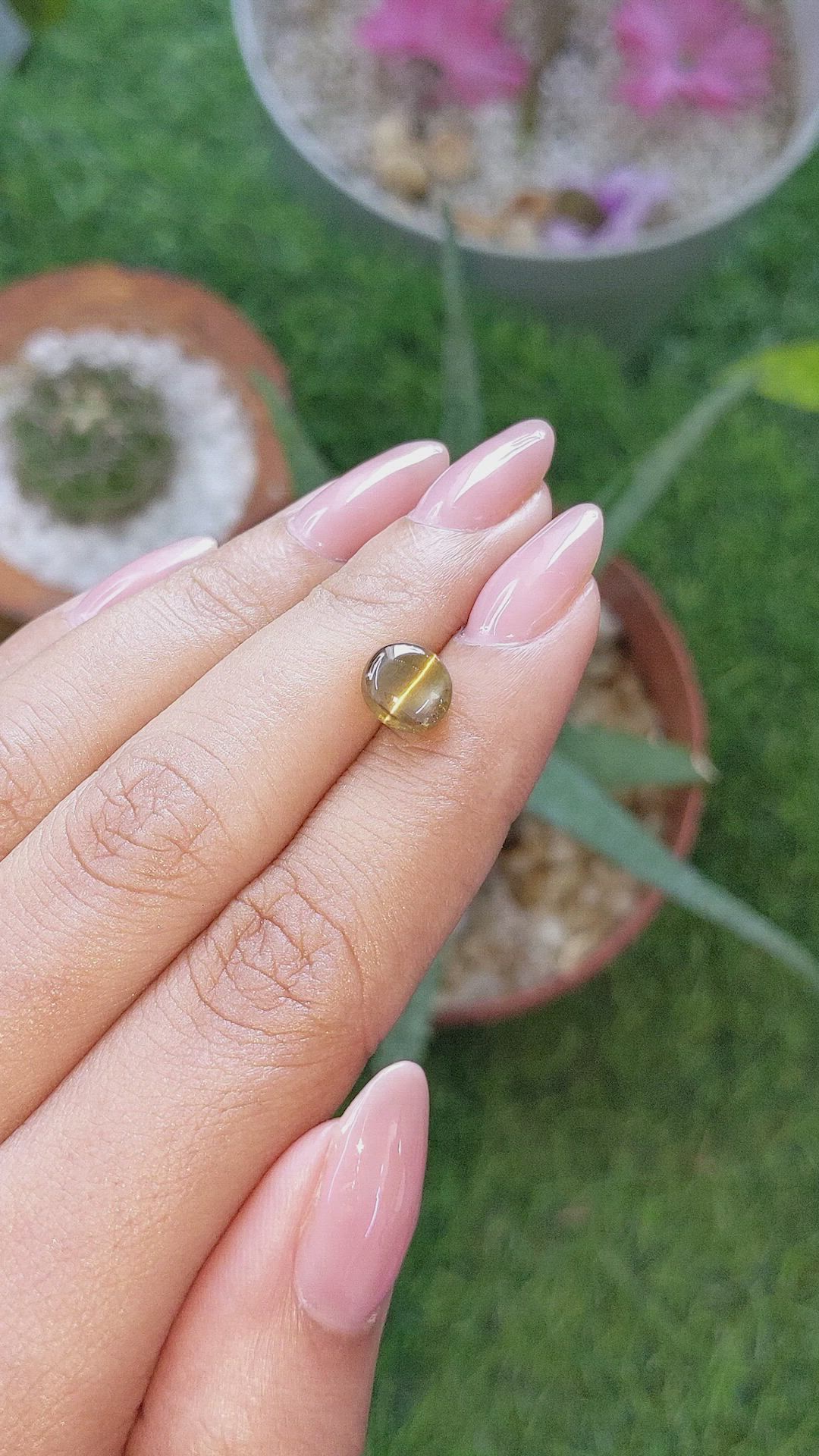 3.05 Ct. Brown Cabochon Chrysoberyl from Ceylon (Sri Lanka) Size Video