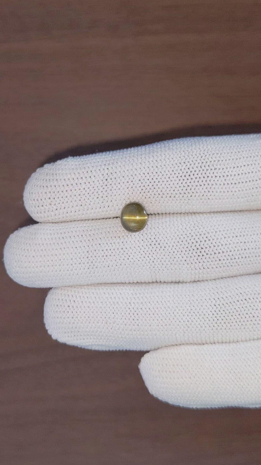 3.05 Ct. Brown Cabochon Chrysoberyl from Ceylon (Sri Lanka) Size Video
