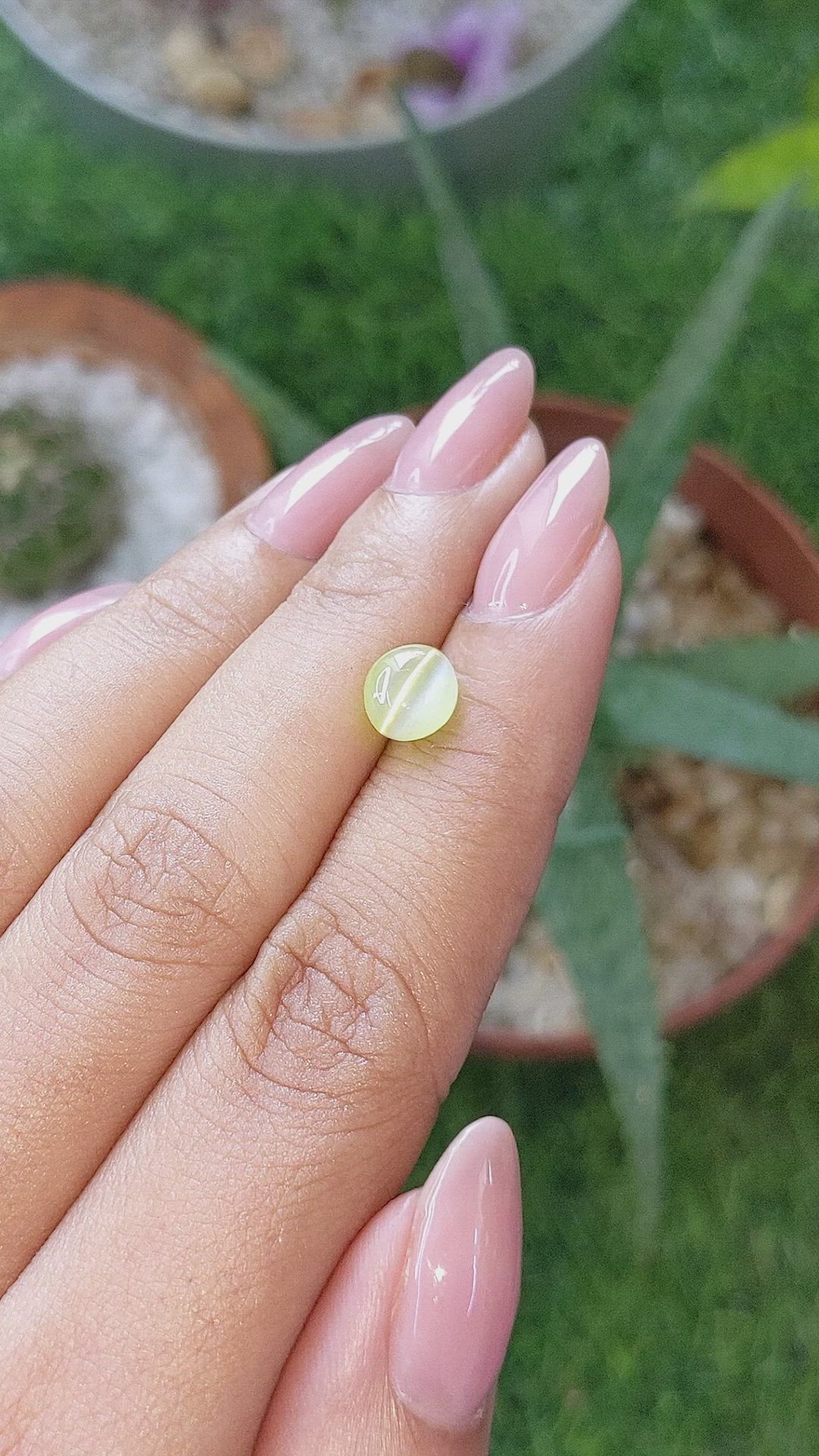2.19 Ct. Greenish Yellow Cabochon Chrysoberyl from Ceylon (Sri Lanka) Size Video