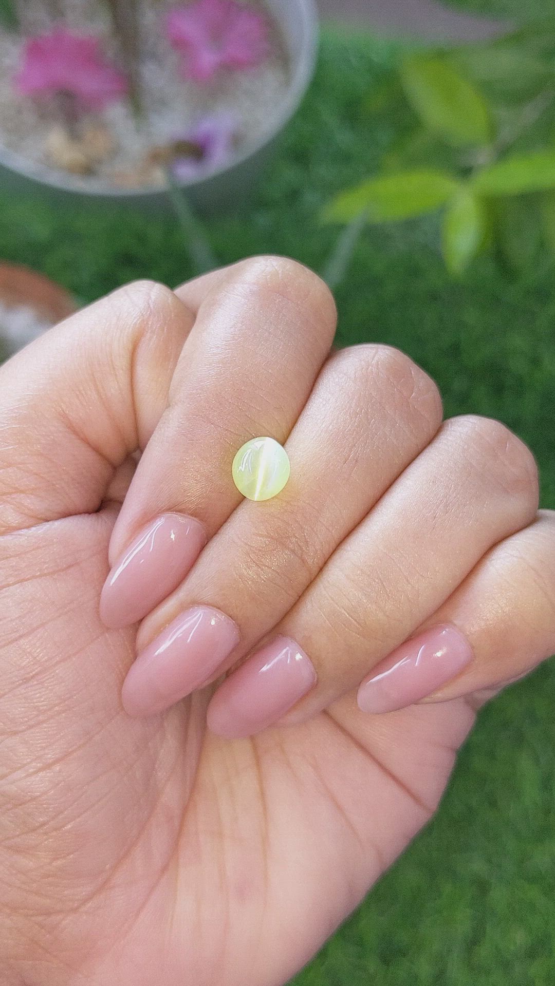 2.19 Ct. Greenish Yellow Cabochon Chrysoberyl from Ceylon (Sri Lanka) Size Video