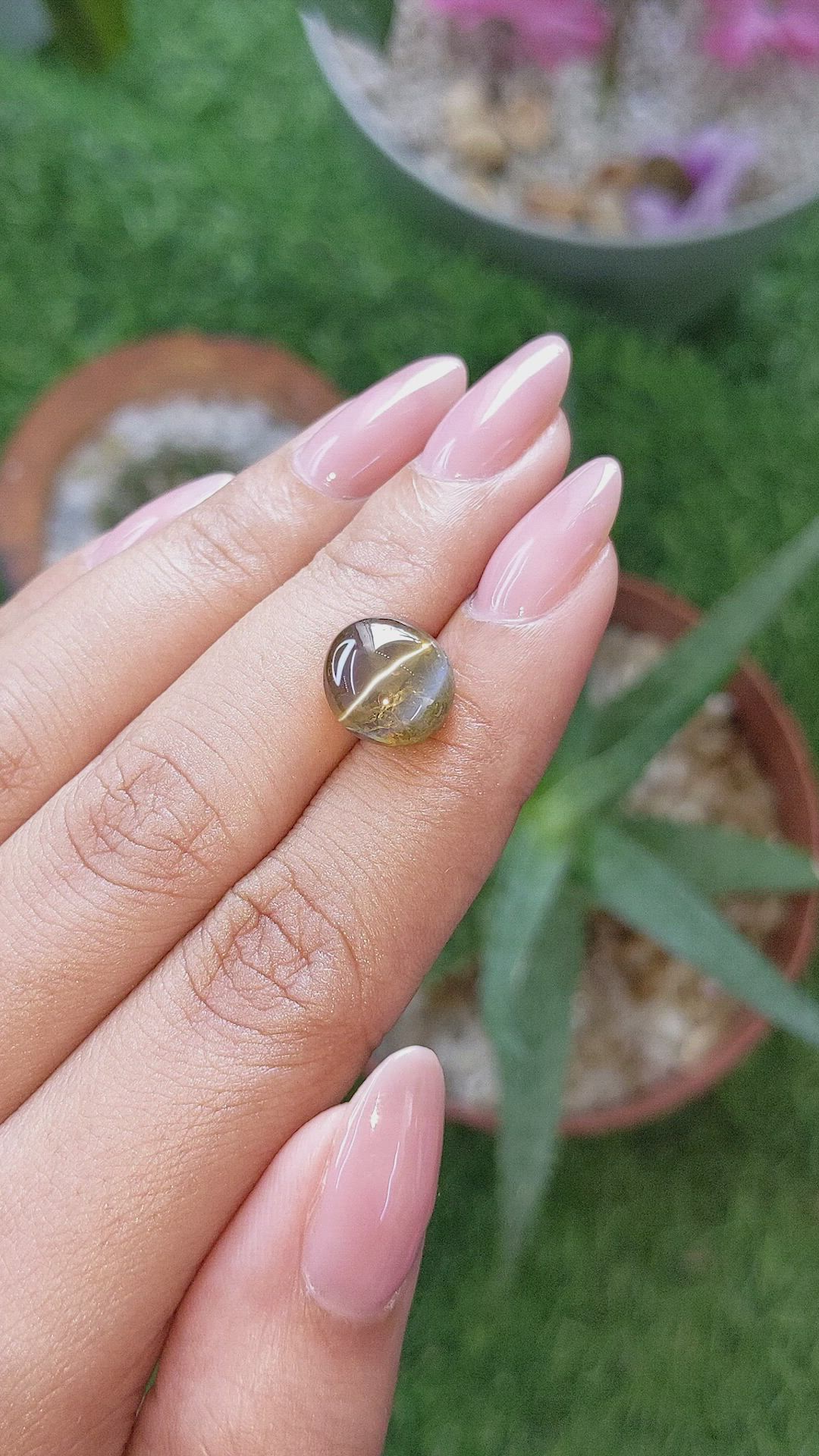 6.32 Ct. Brown Cabochon Chrysoberyl from Ceylon (Sri Lanka) Size Video