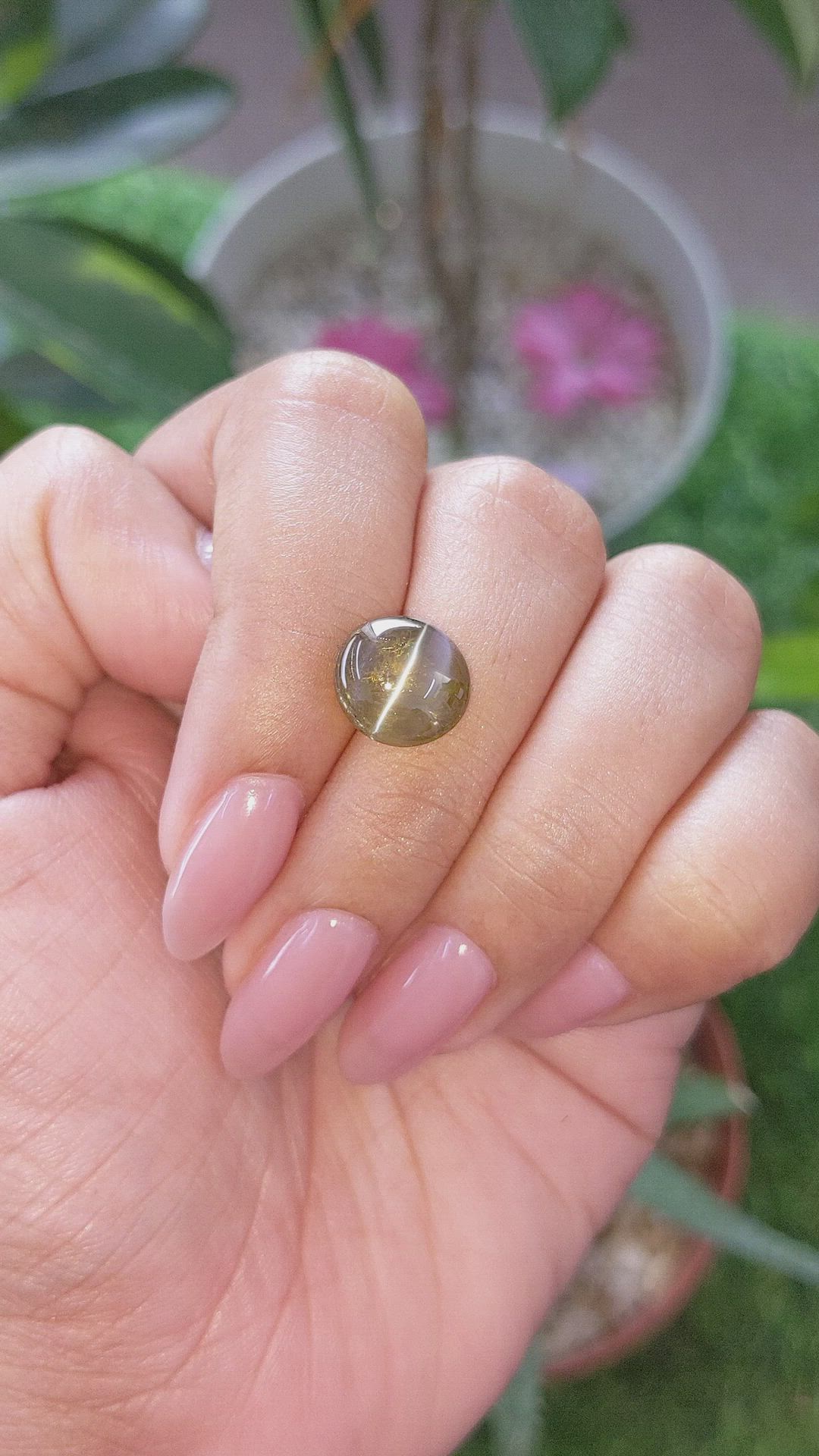 6.32 Ct. Brown Cabochon Chrysoberyl from Ceylon (Sri Lanka) Size Video