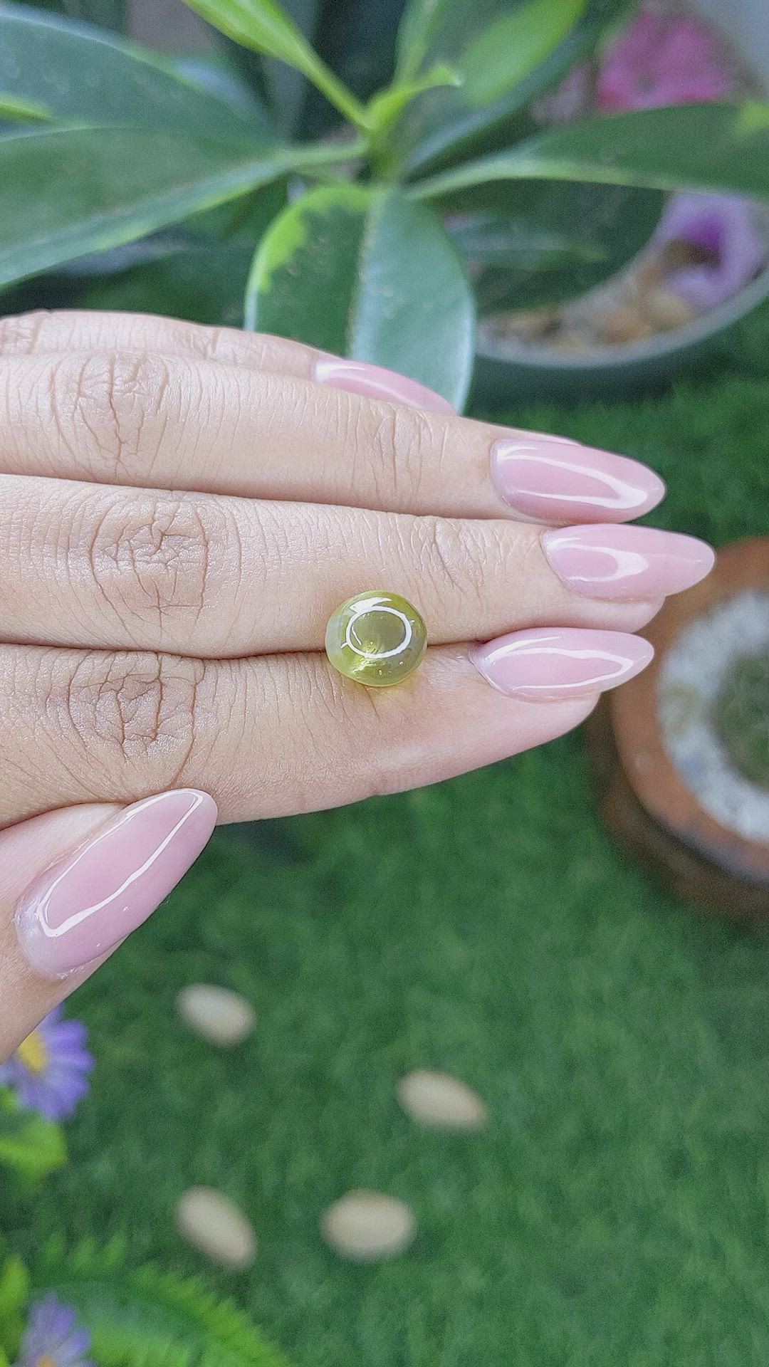5.66 Ct. Yellowish Green Cabochon Chrysoberyl from Ceylon (Sri Lanka) Size Video